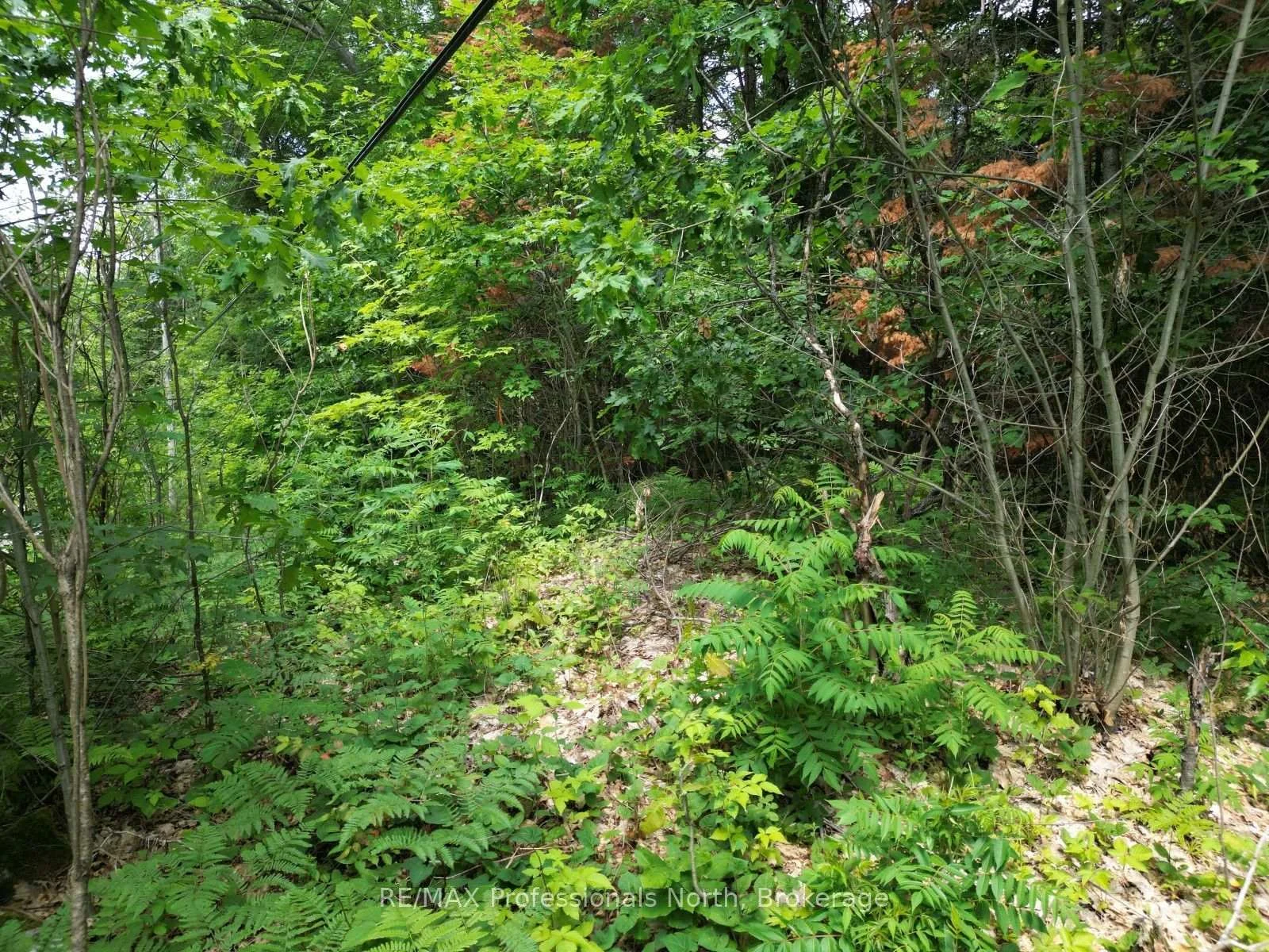Photo 18 of Halls Lake Road, Algonquin Highlands, Stanhope — HOMEH