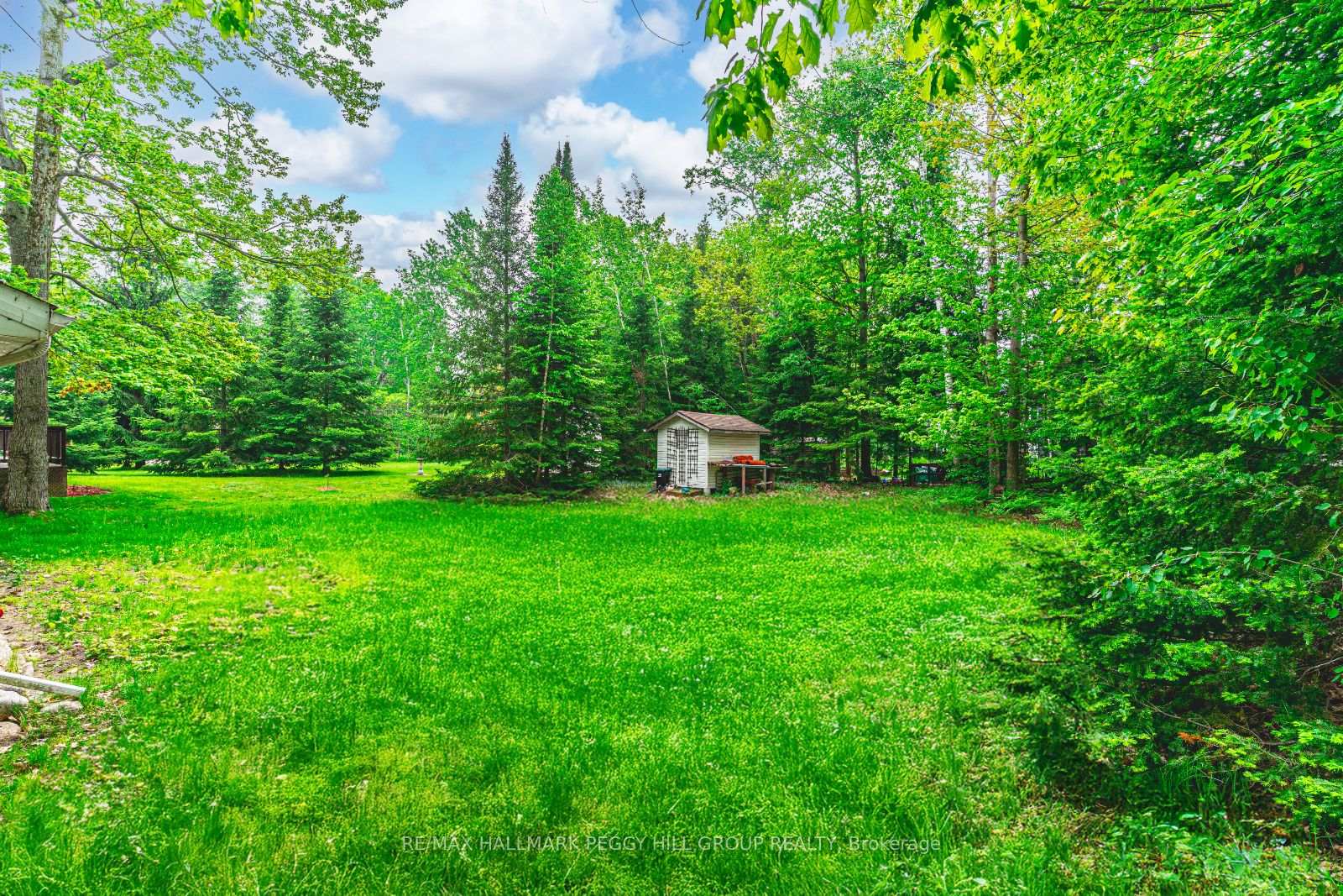 Photo 11 of 12 Doan Avenue, Tiny, Rural Tiny — HOMEH