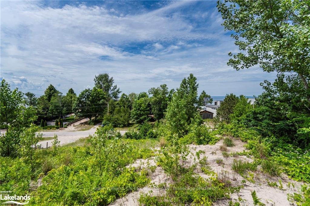 Photo 1 of 29 Trew Avenue, Tiny, Rural Tiny — HOMEH
