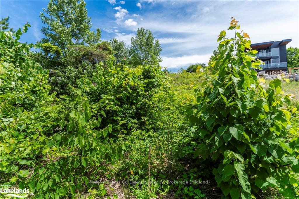 Photo 26 of 29 Trew Avenue, Tiny, Rural Tiny — HOMEH