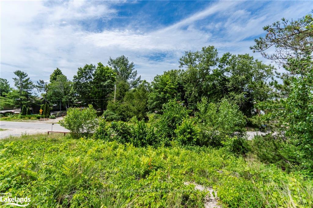 Photo 29 of 29 Trew Avenue, Tiny, Rural Tiny — HOMEH