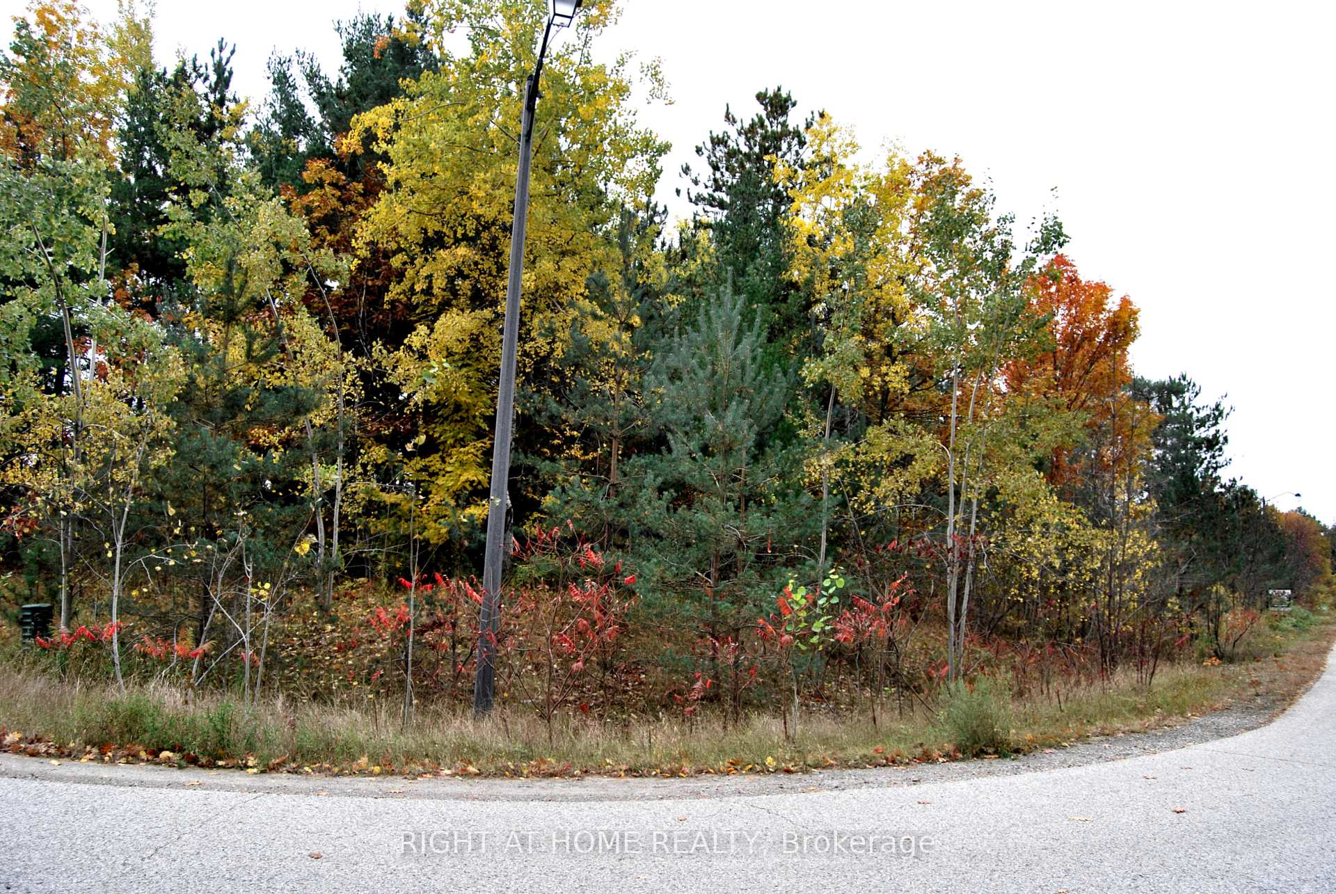 Photo 2 of Reynolds Road, Tiny, Wyevale — HOMEH