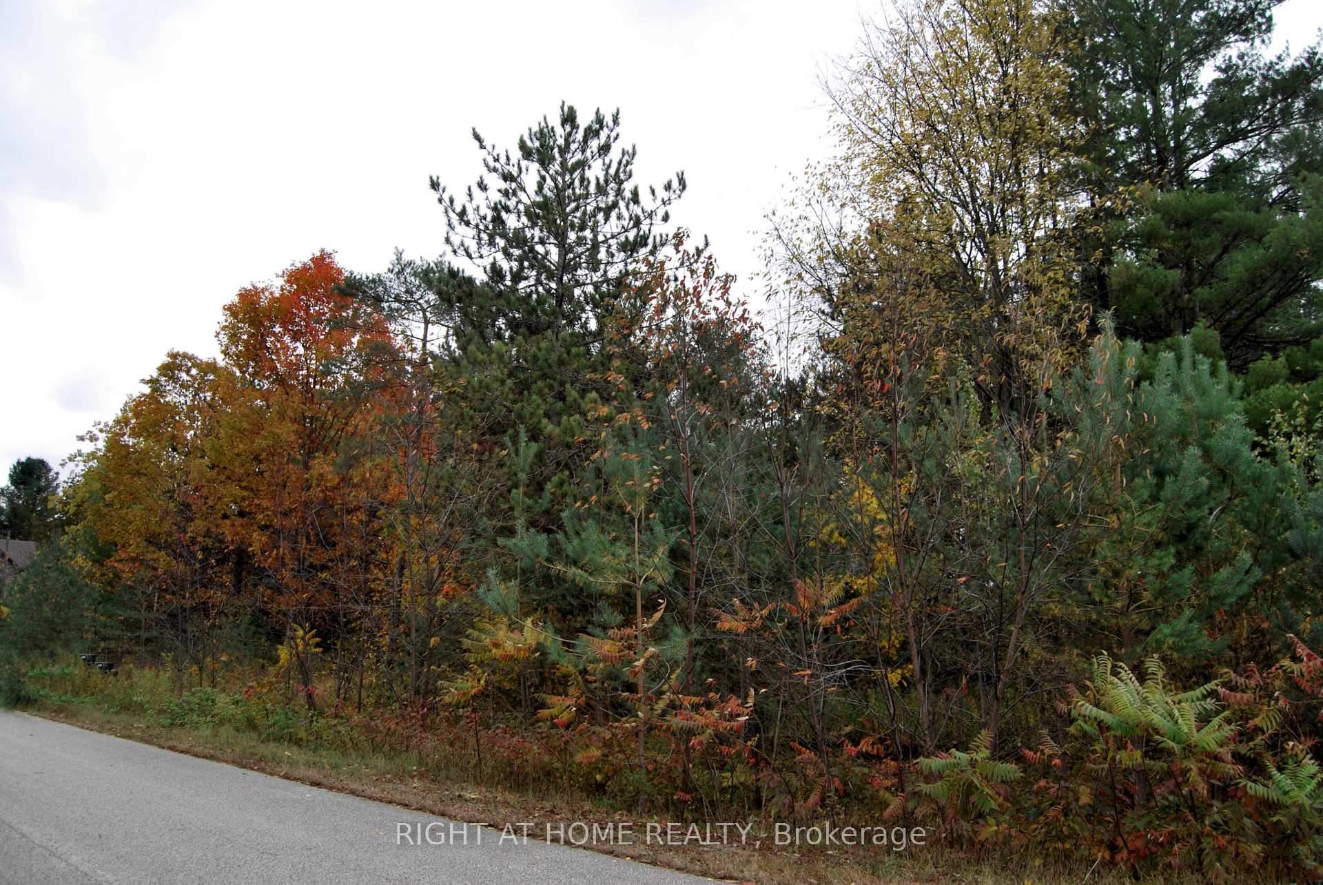 Photo 3 of Reynolds Road, Tiny, Wyevale — HOMEH