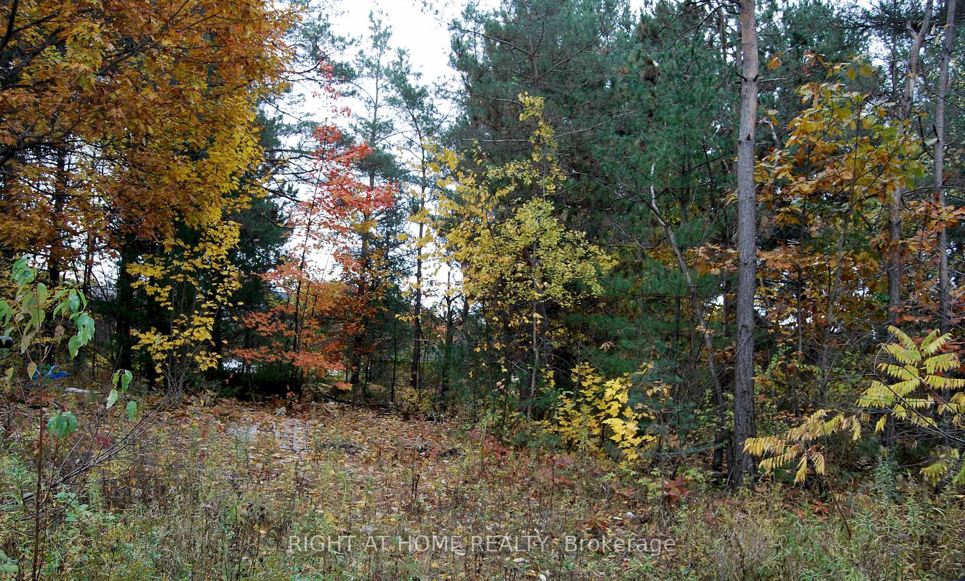 Photo 5 of Reynolds Road, Tiny, Wyevale — HOMEH
