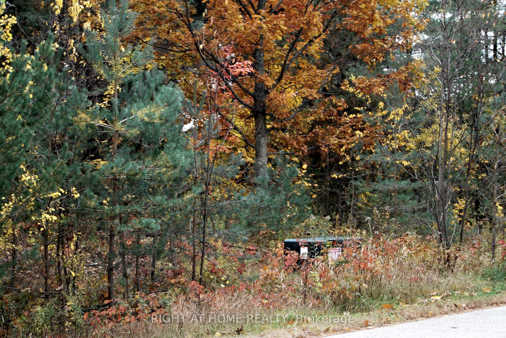 Photo 6 of Reynolds Road, Tiny, Wyevale — HOMEH