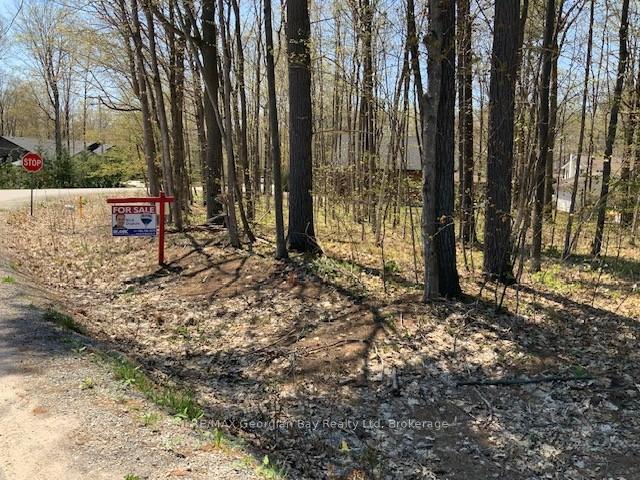 Photo 6 of Lot 558 Forest Circle, Tiny, Rural Tiny — HOMEH