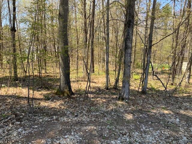 Photo 7 of Lot 558 Forest Circle, Tiny, Rural Tiny — HOMEH