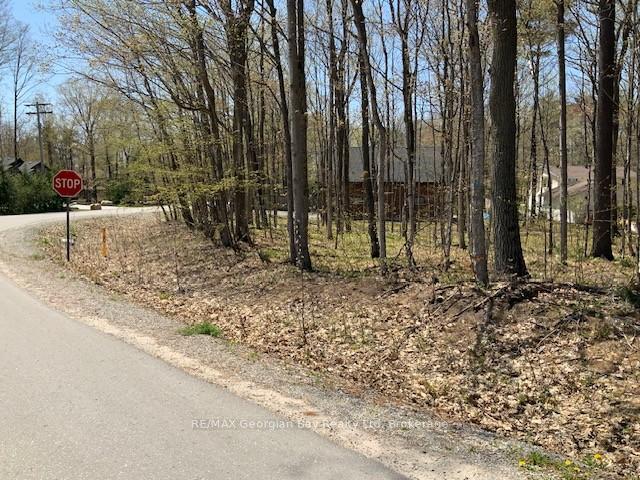 Photo 8 of Lot 558 Forest Circle, Tiny, Rural Tiny — HOMEH