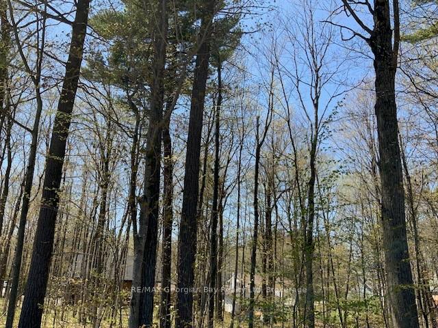 Photo 9 of Lot 558 Forest Circle, Tiny, Rural Tiny — HOMEH