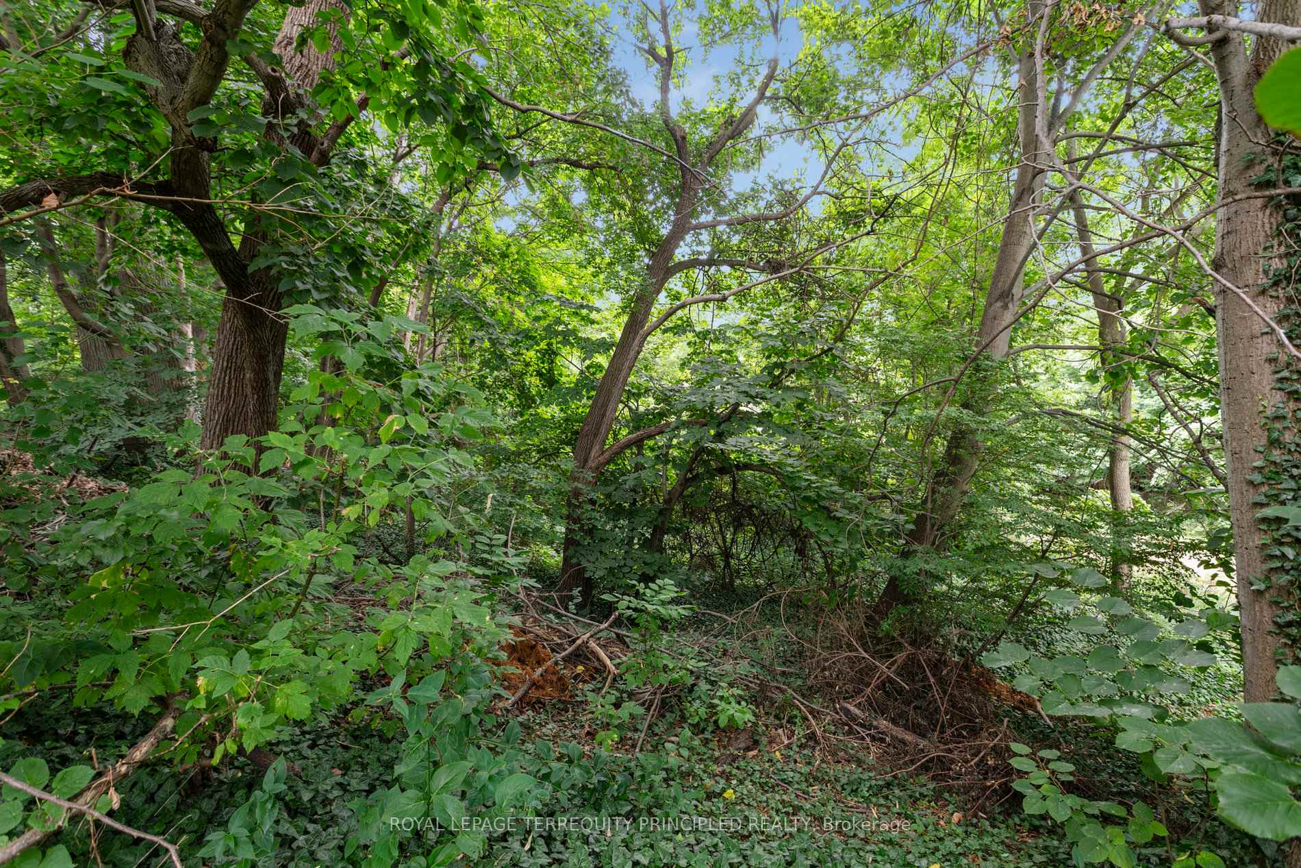 Photo 6 of 235 Birkdale Road, Scarborough, Bendale — HOMEH