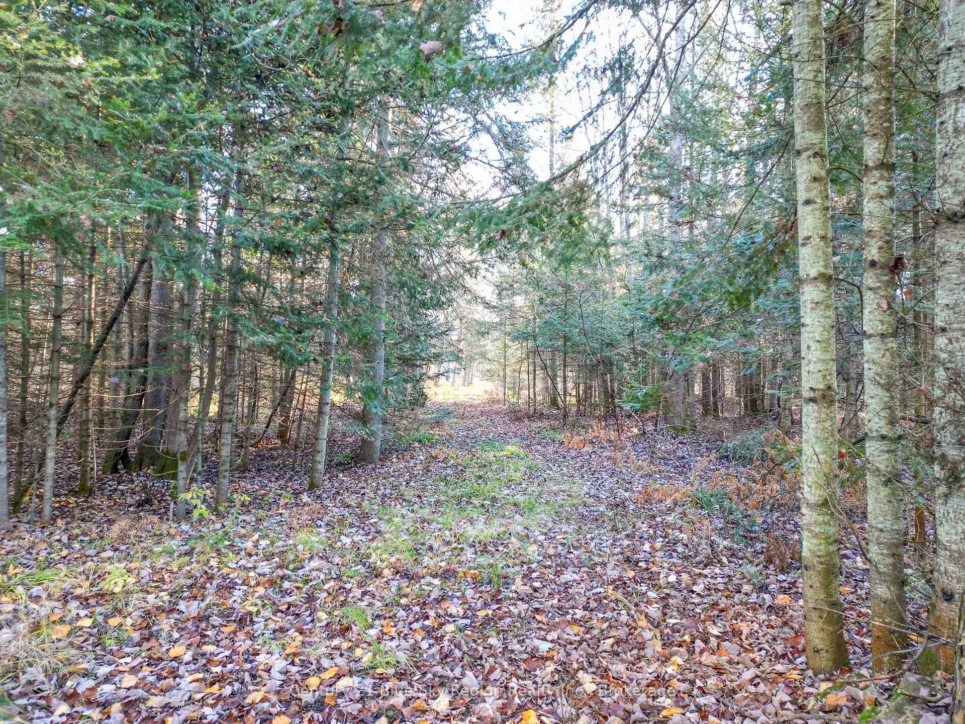 Photo 41 of 994 Premier Road, North Bay, Ferris — HOMEH