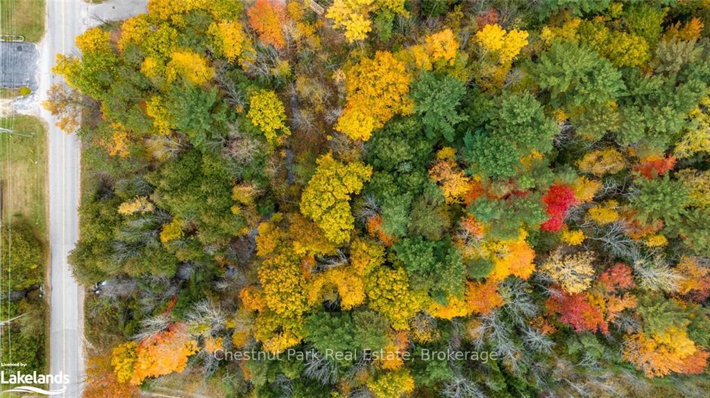 Photo 8 of PART Lot 18 Concession Road 13 W, Tiny, Rural Tiny — HOMEH