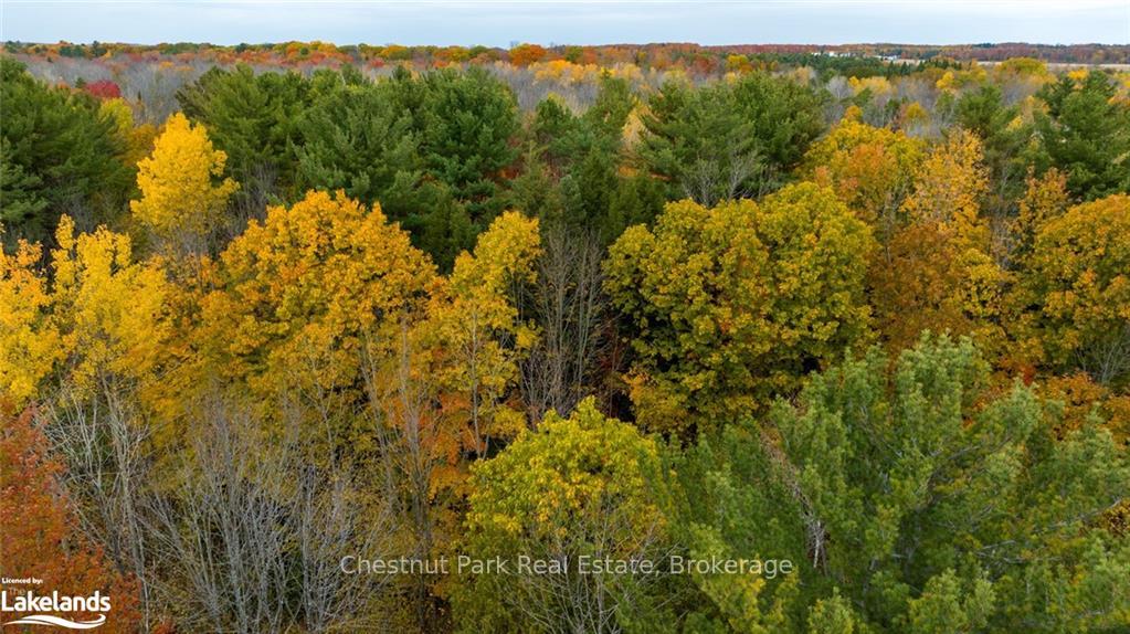 Photo 12 of PART Lot 18 Concession Road 13 W, Tiny, Rural Tiny — HOMEH