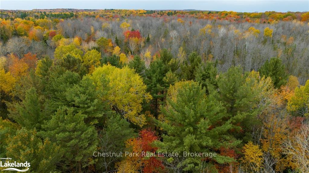 Photo 13 of PART Lot 18 Concession Road 13 W, Tiny, Rural Tiny — HOMEH