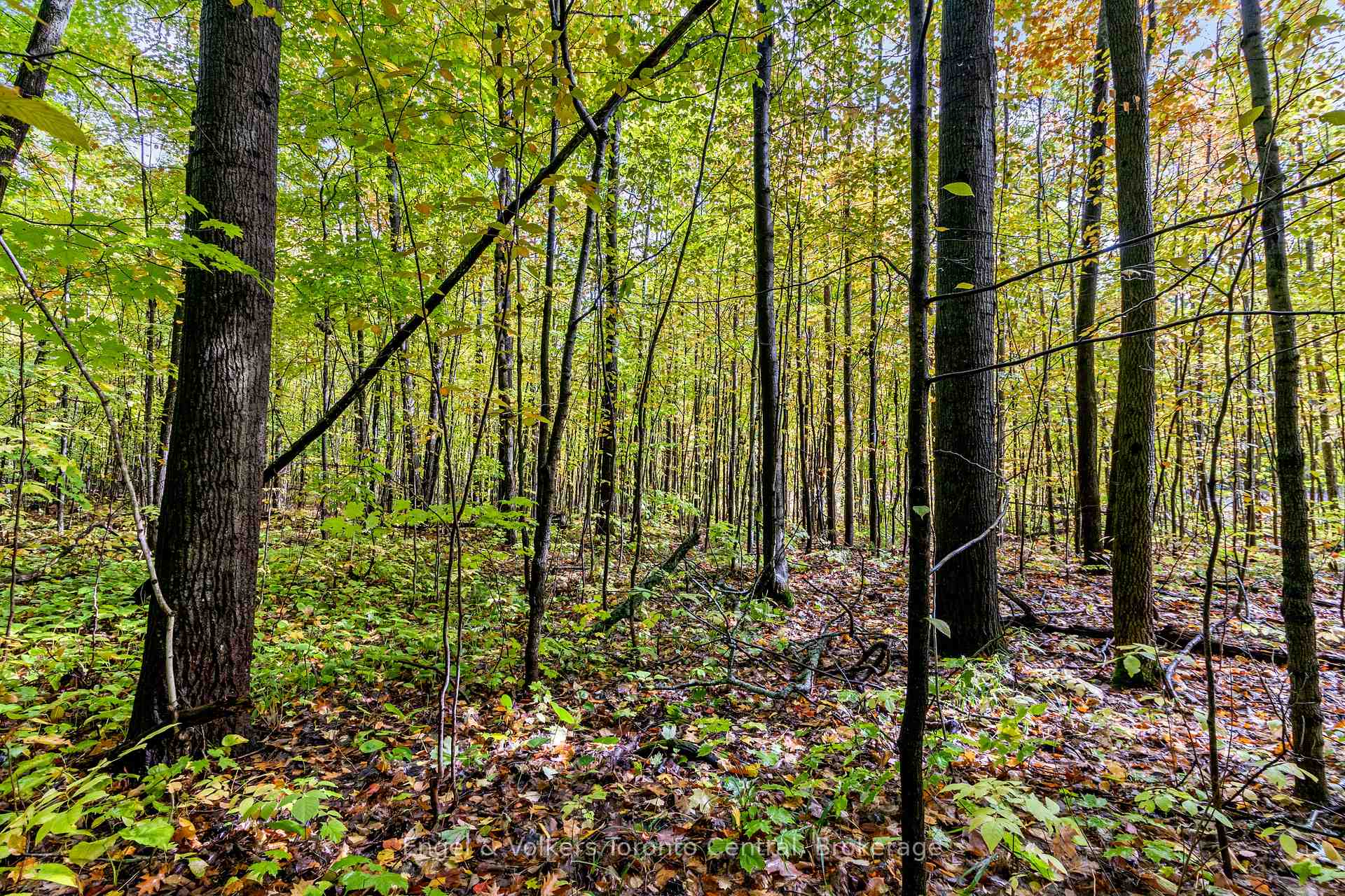 Photo 14 of LOT 5 Voyageur Drive, Tiny, Rural Tiny — HOMEH
