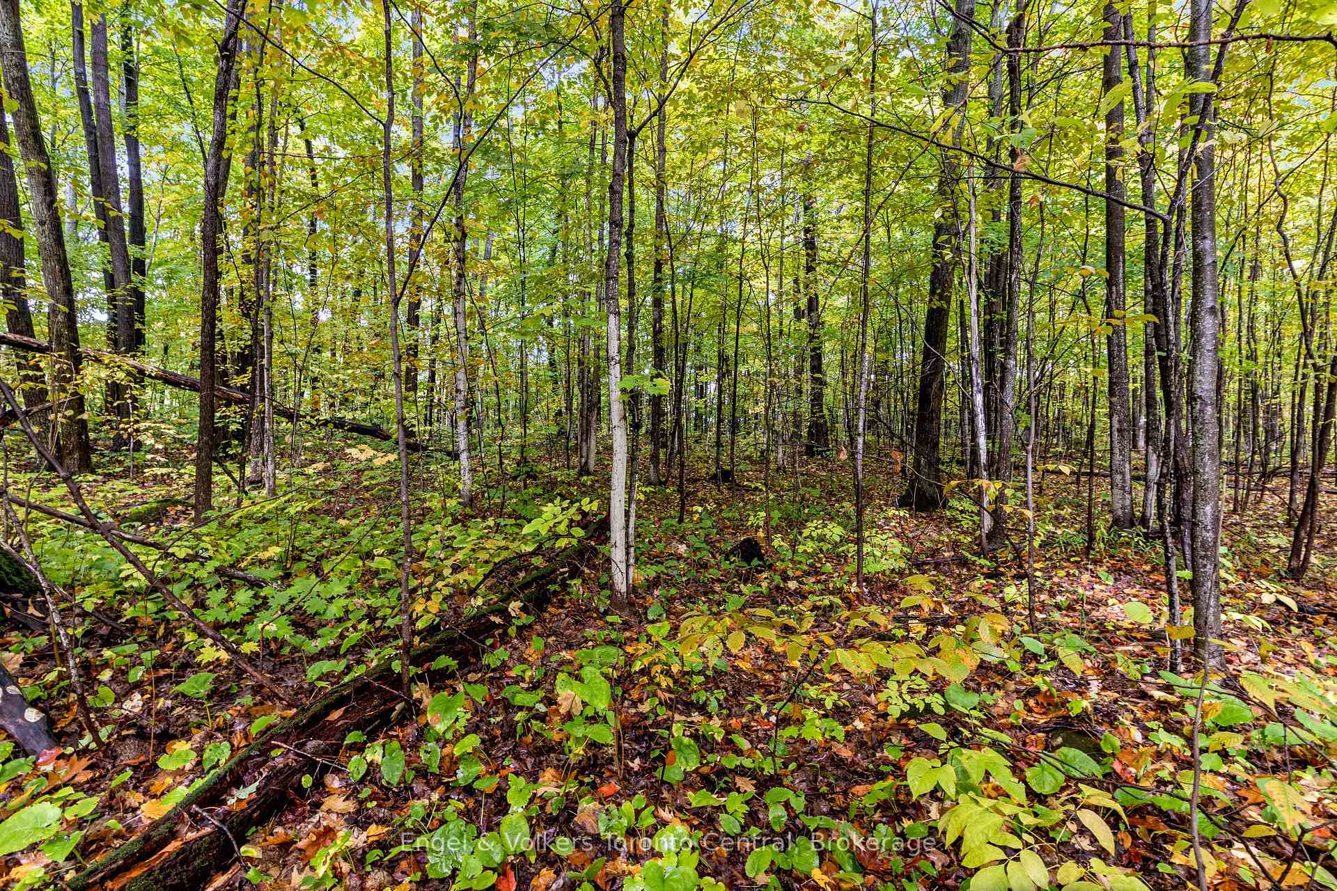 Photo 15 of LOT 5 Voyageur Drive, Tiny, Rural Tiny — HOMEH