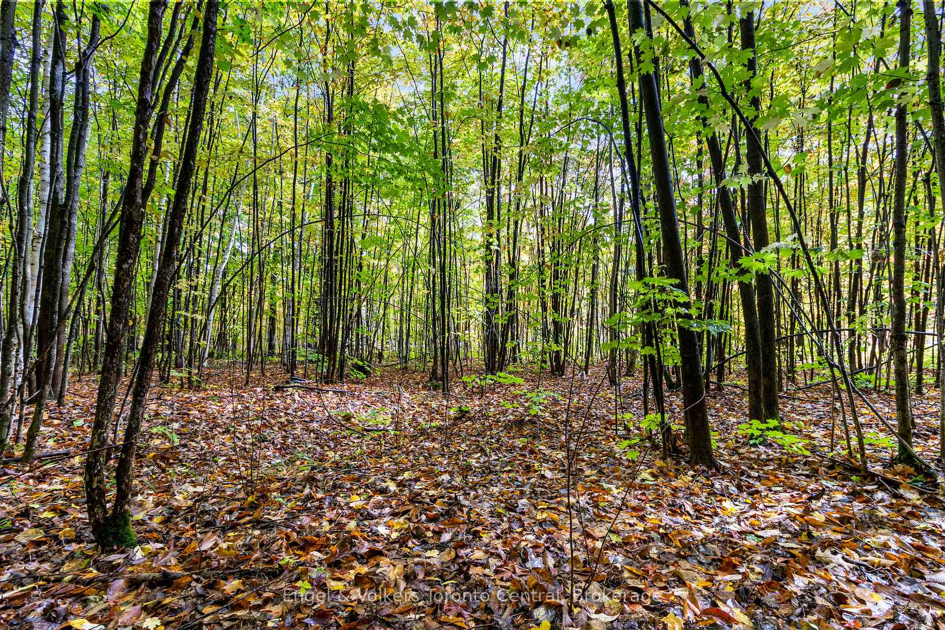 Photo 16 of LOT 5 Voyageur Drive, Tiny, Rural Tiny — HOMEH