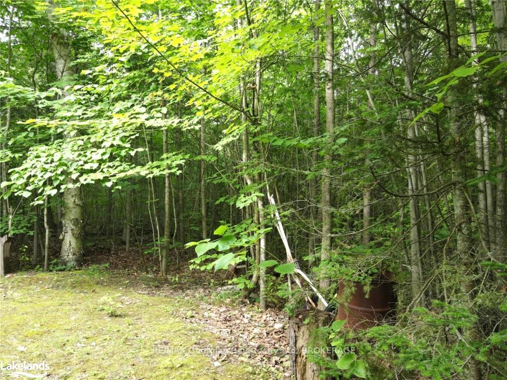 Photo 4 of LOT 3 Champlain Road, Tiny, Rural Tiny — HOMEH