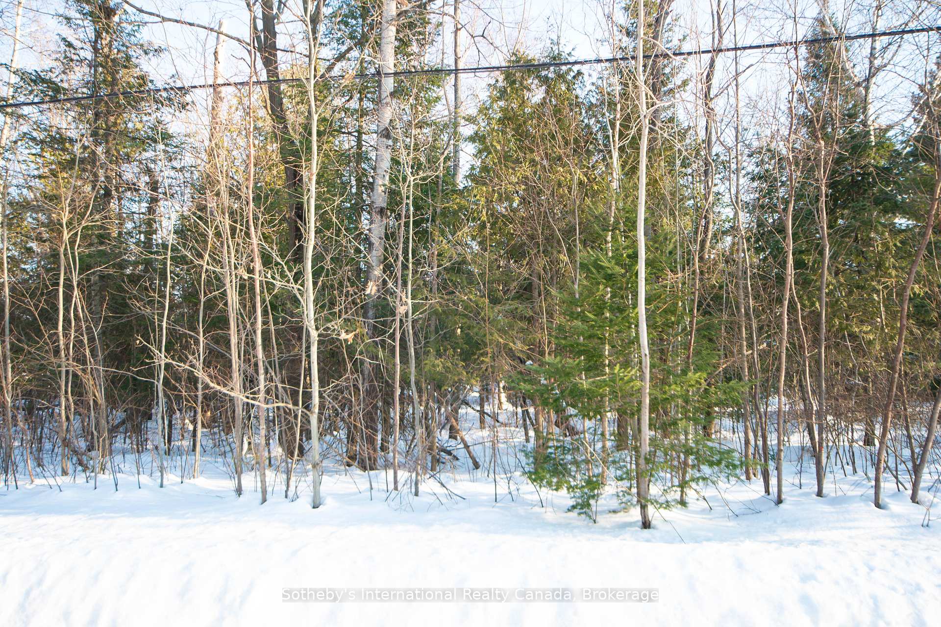 Photo 1 of LOT 4 Spruce Street, Tiny, Rural Tiny — HOMEH