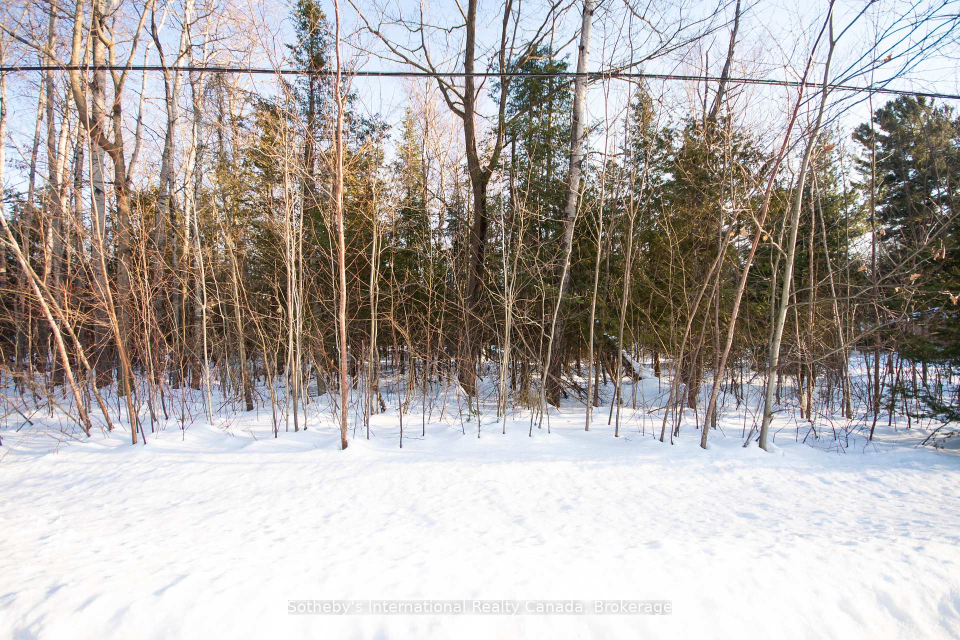 Photo 2 of LOT 4 Spruce Street, Tiny, Rural Tiny — HOMEH