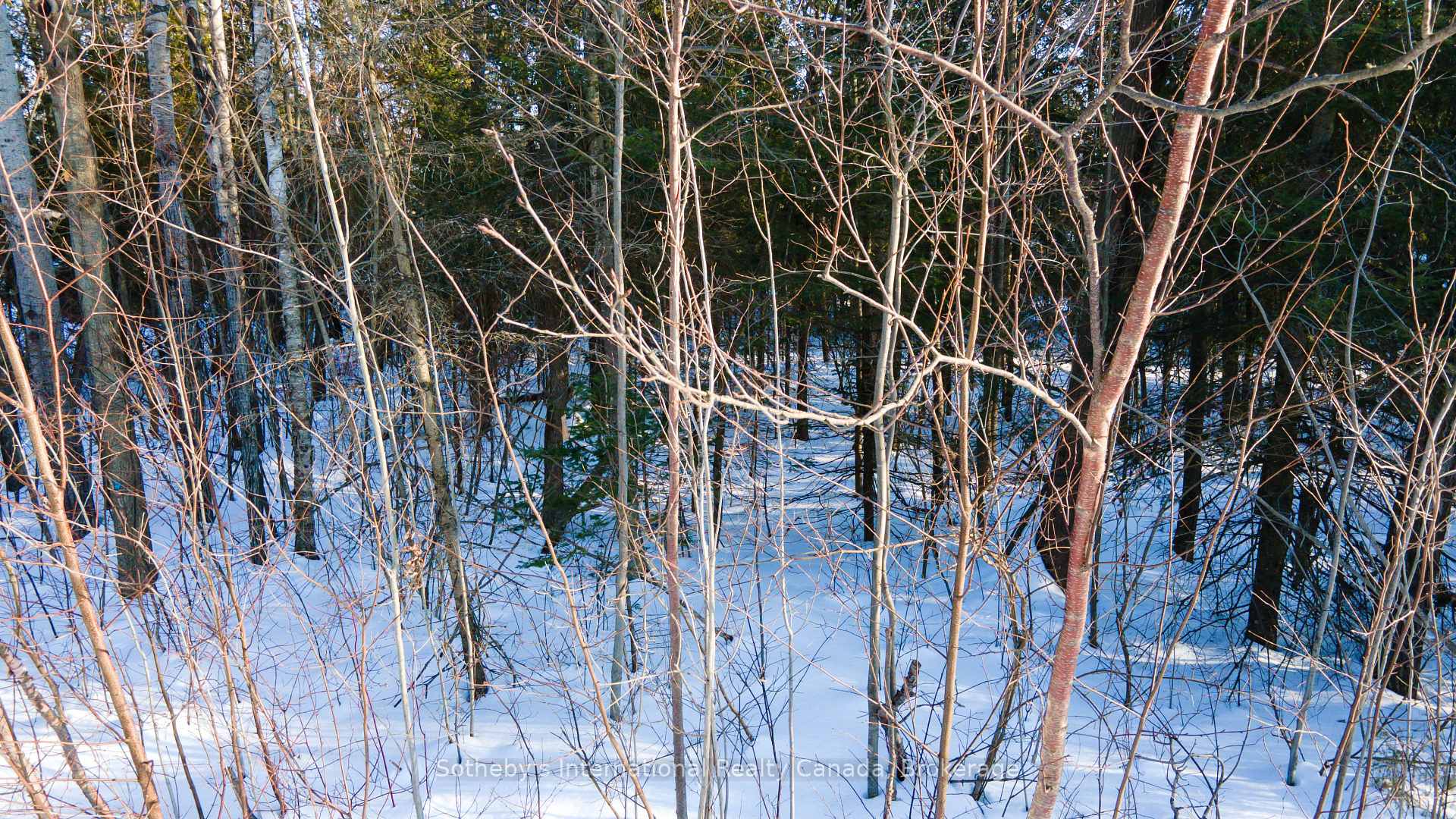 Photo 3 of LOT 4 Spruce Street, Tiny, Rural Tiny — HOMEH