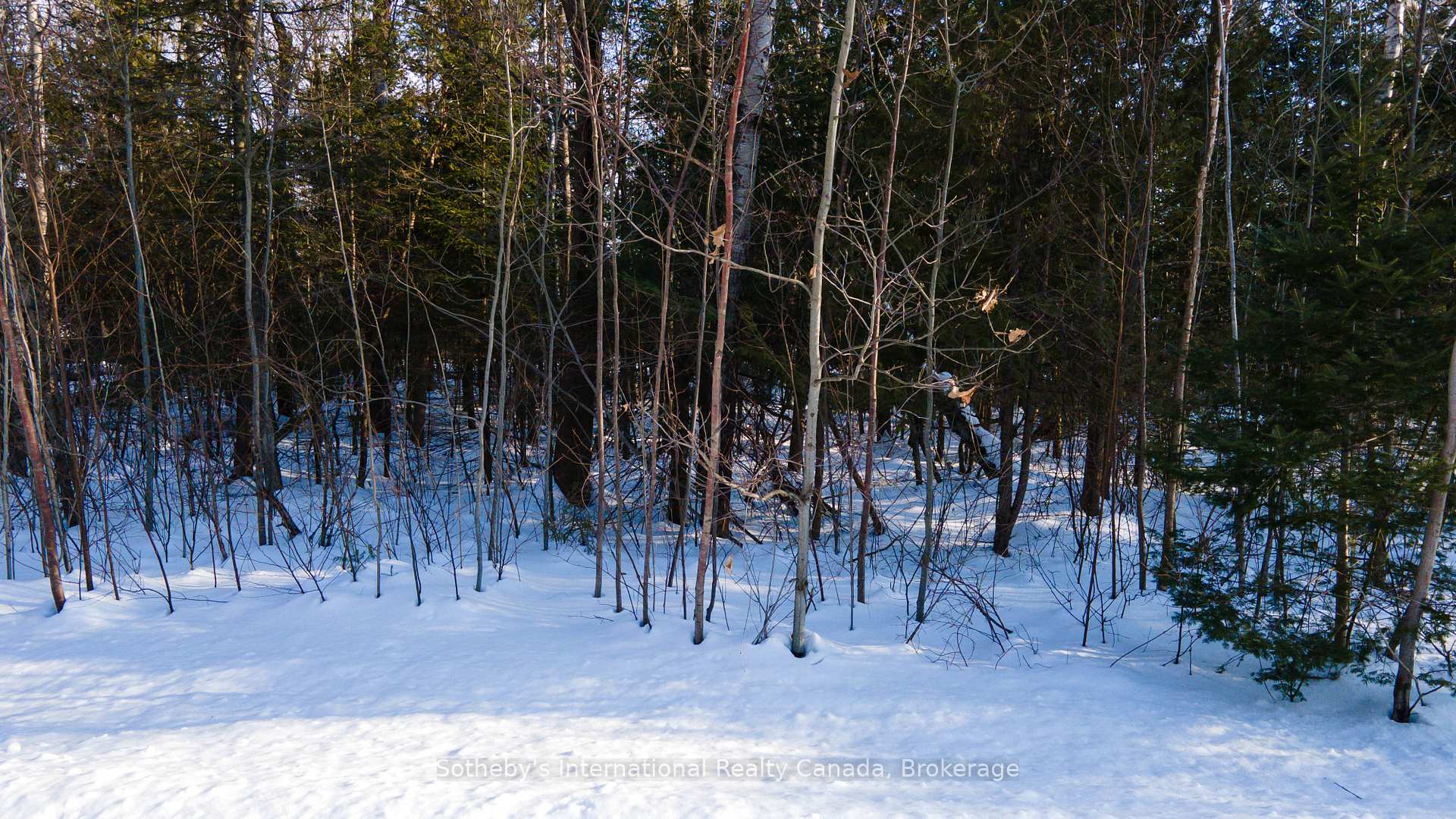 Photo 4 of LOT 4 Spruce Street, Tiny, Rural Tiny — HOMEH