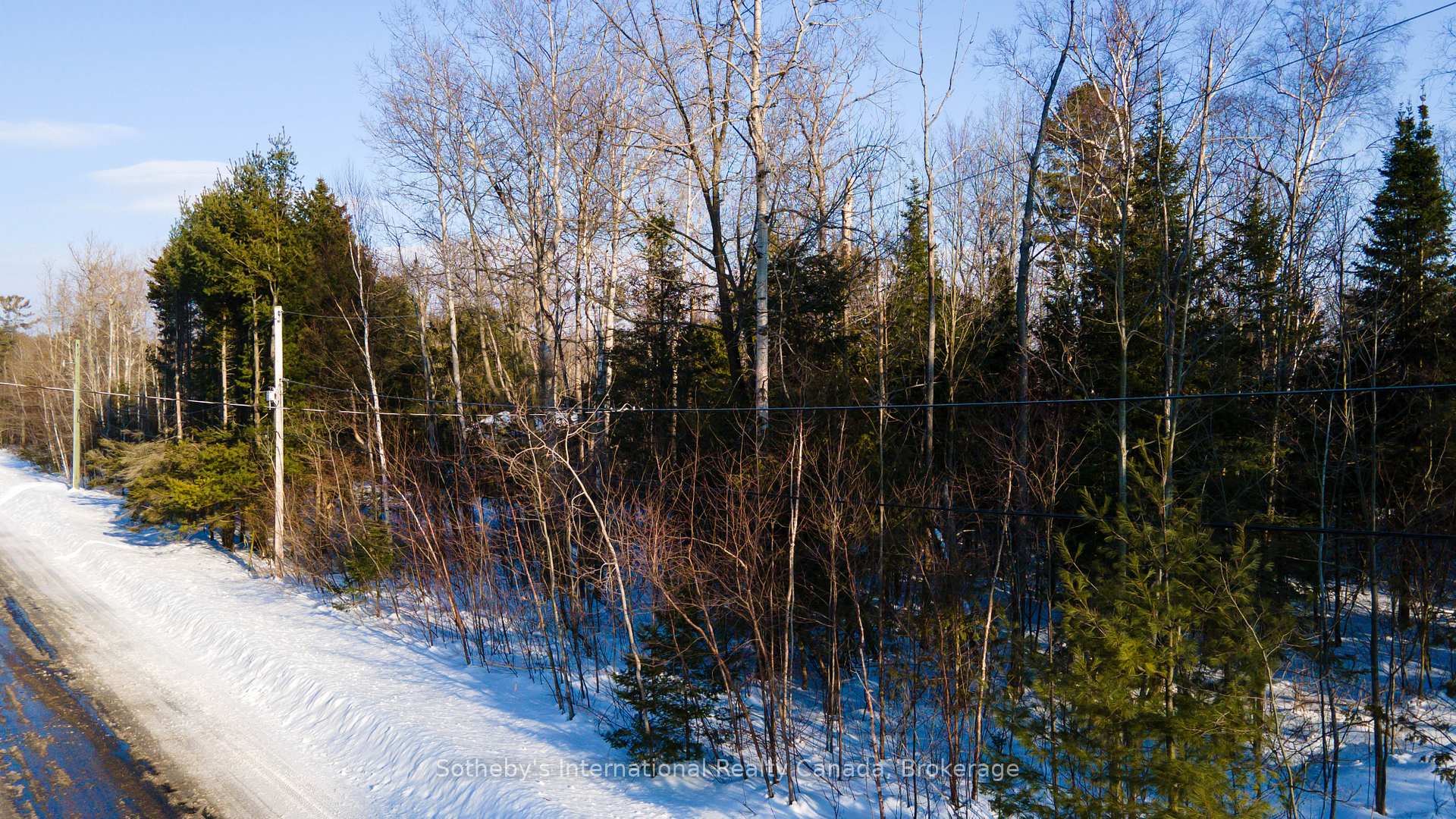 Photo 5 of LOT 4 Spruce Street, Tiny, Rural Tiny — HOMEH