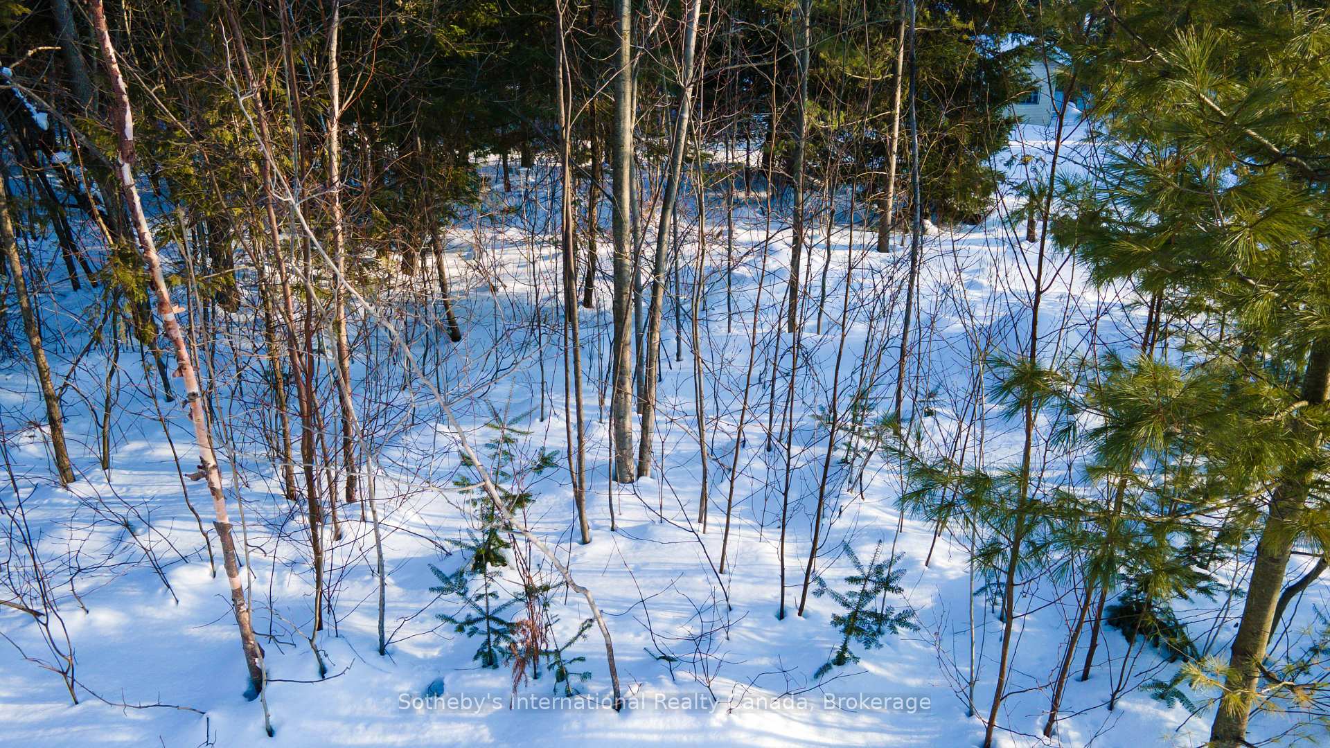 Photo 7 of LOT 4 Spruce Street, Tiny, Rural Tiny — HOMEH