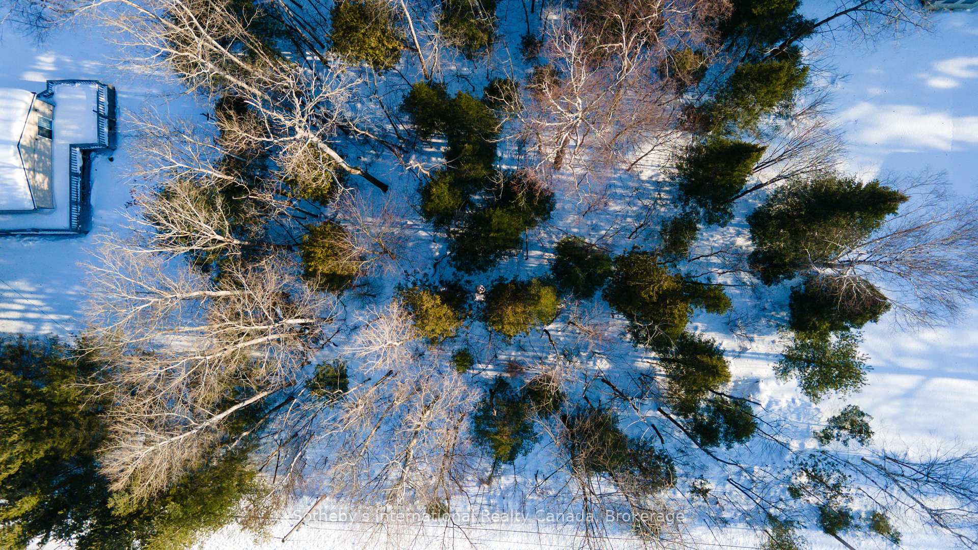 Photo 10 of LOT 4 Spruce Street, Tiny, Rural Tiny — HOMEH