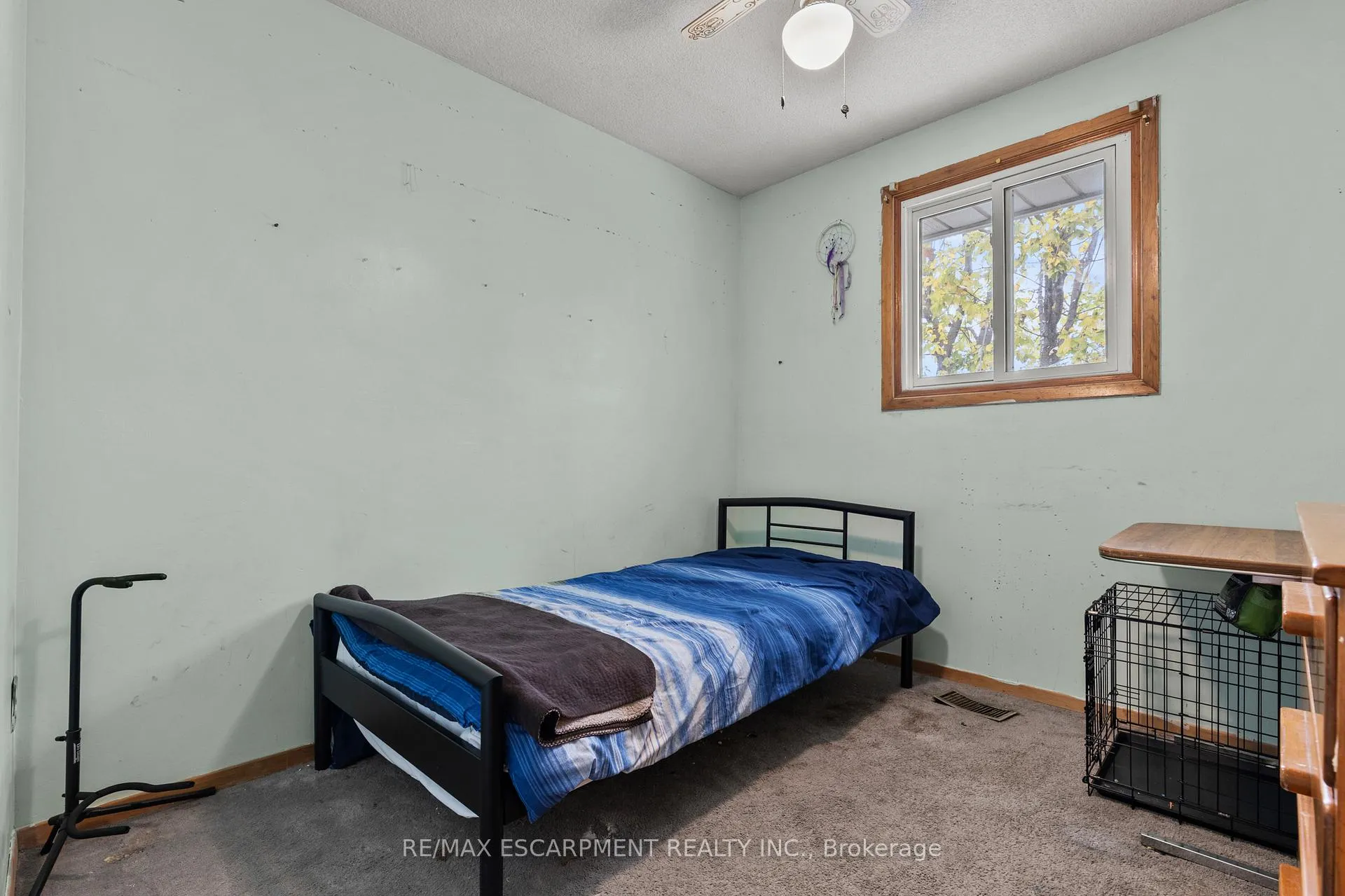 Photo 10 of 11 Torlake Street, Hamilton, Templemead — HOMEH