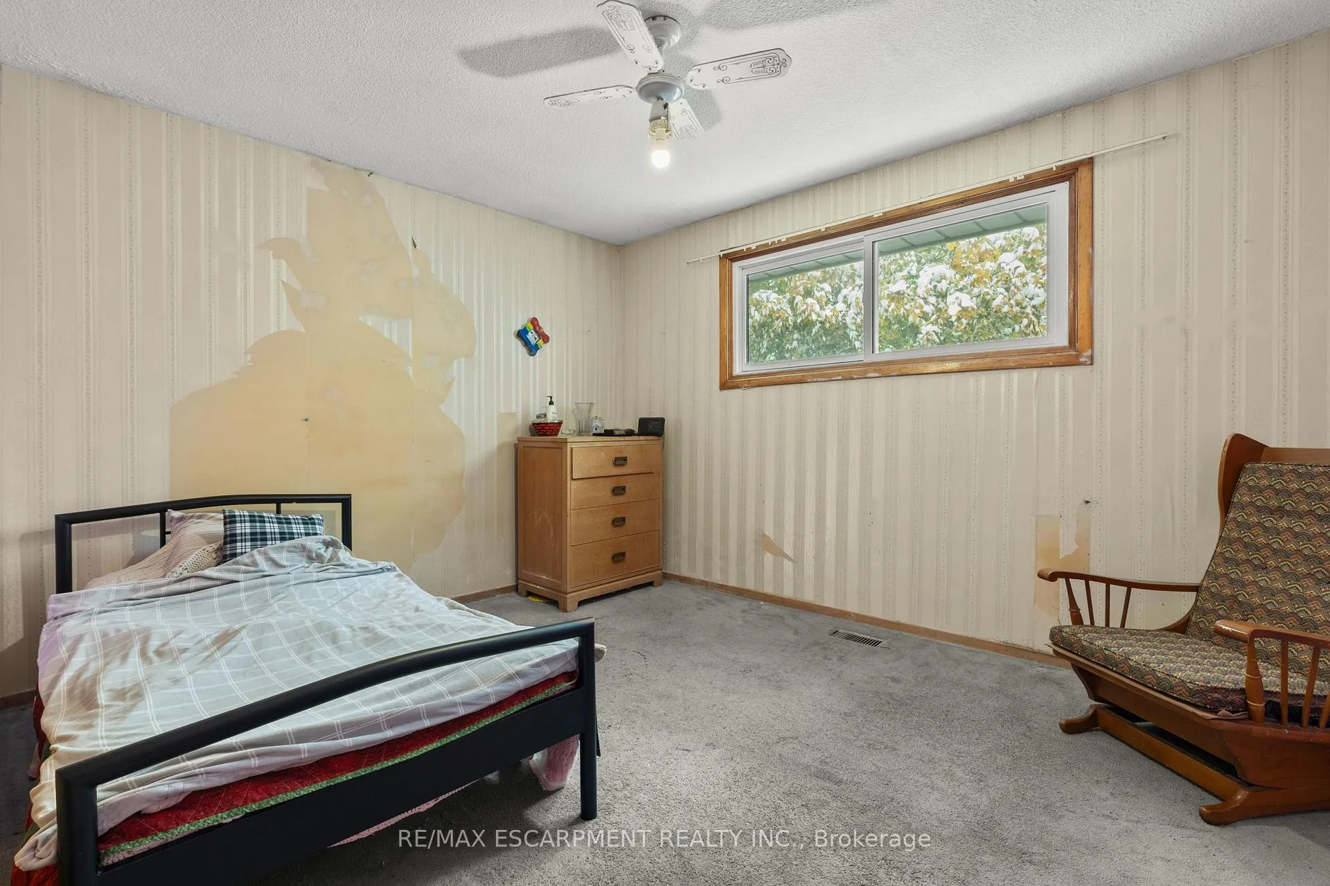 Photo 11 of 11 Torlake Street, Hamilton, Templemead — HOMEH