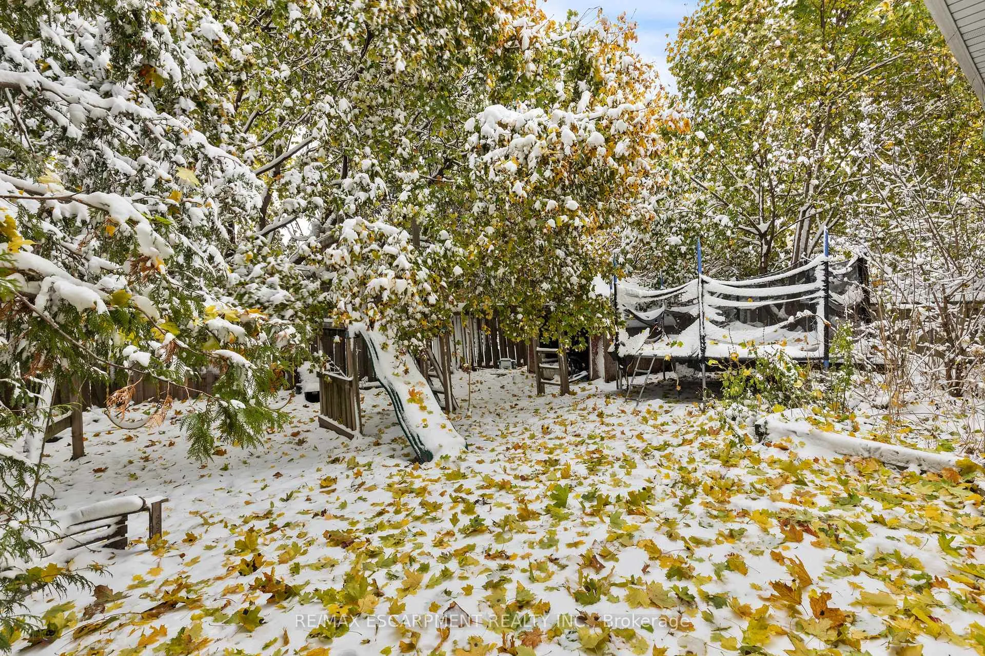 Photo 14 of 11 Torlake Street, Hamilton, Templemead — HOMEH
