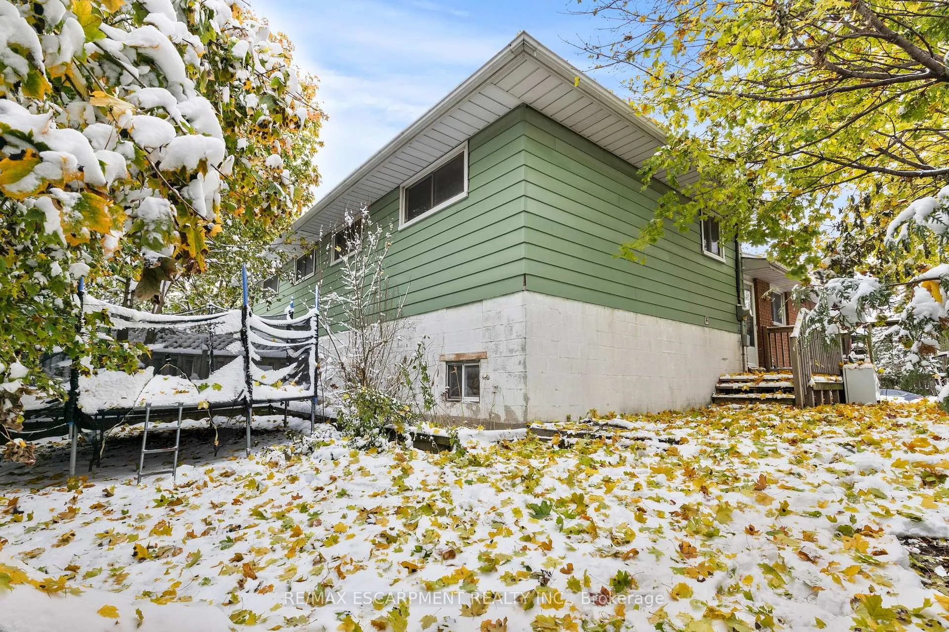 Photo 15 of 11 Torlake Street, Hamilton, Templemead — HOMEH