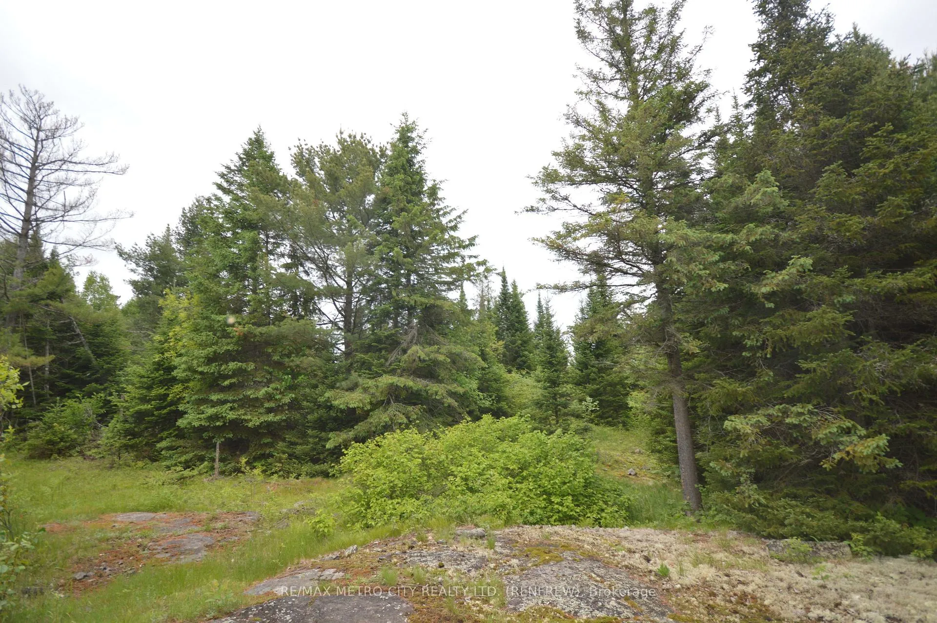 Photo 7 of 6340 Murphy Road, Greater Madawaska — HOMEH