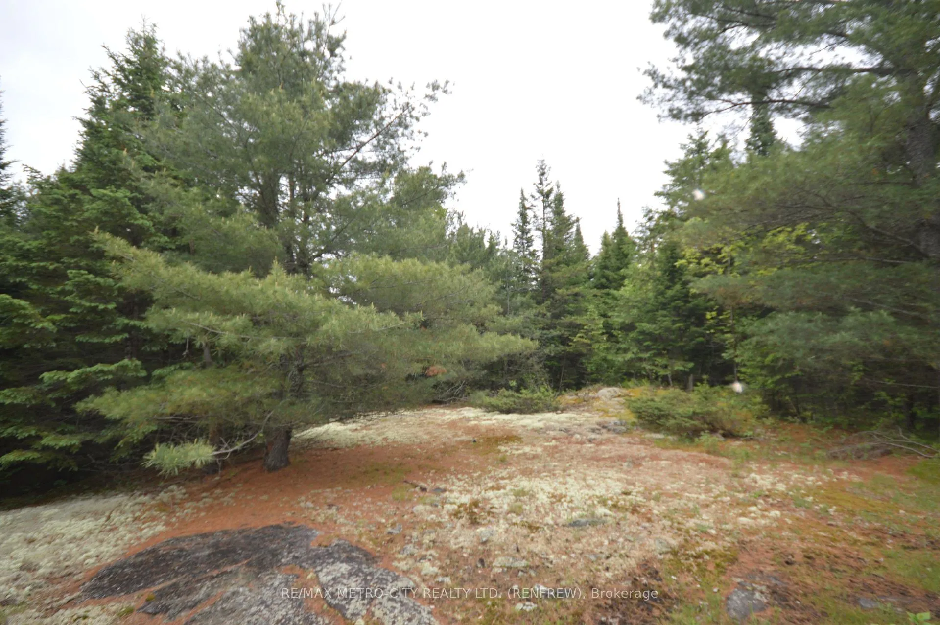 Photo 8 of 6340 Murphy Road, Greater Madawaska — HOMEH