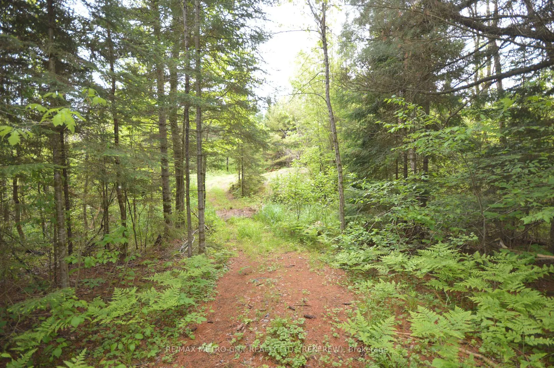 Photo 9 of 6340 Murphy Road, Greater Madawaska — HOMEH