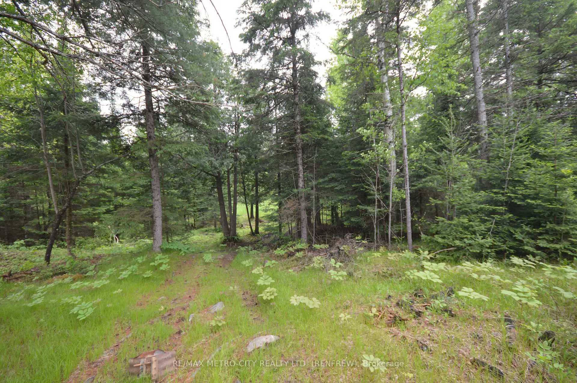 Photo 11 of 6340 Murphy Road, Greater Madawaska — HOMEH