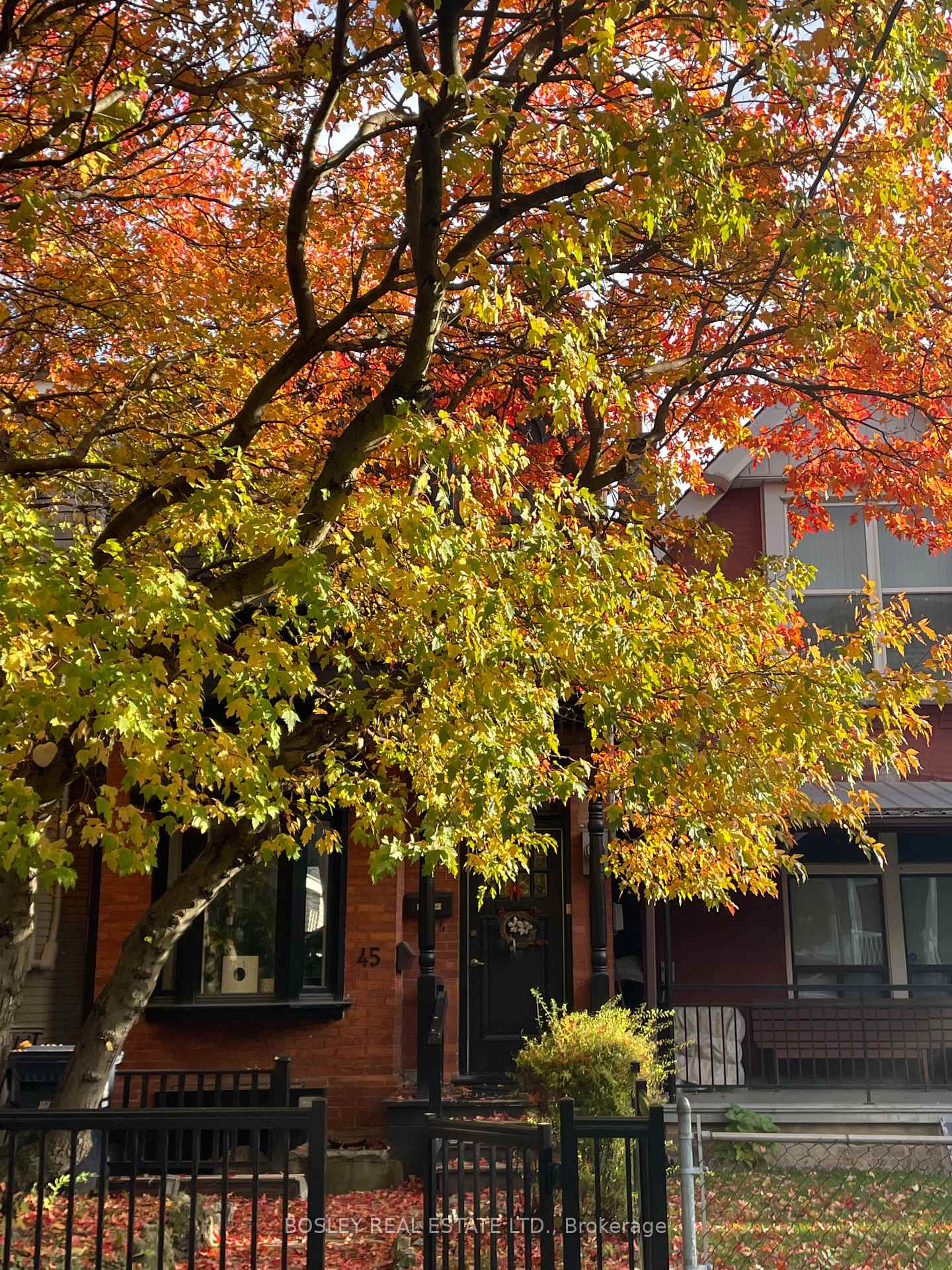 Photo 38 of 45 Shannon Street, Toronto, Trinity-Bellwoods — HOMEH