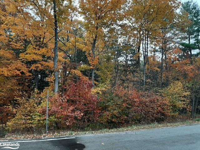Photo 1 of LOT 354 Desroches Trail, Tiny, Rural Tiny — HOMEH