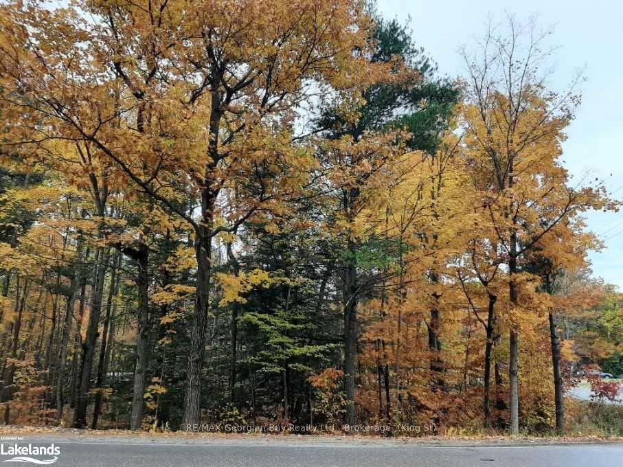 Photo 2 of LOT 354 Desroches Trail, Tiny, Rural Tiny — HOMEH