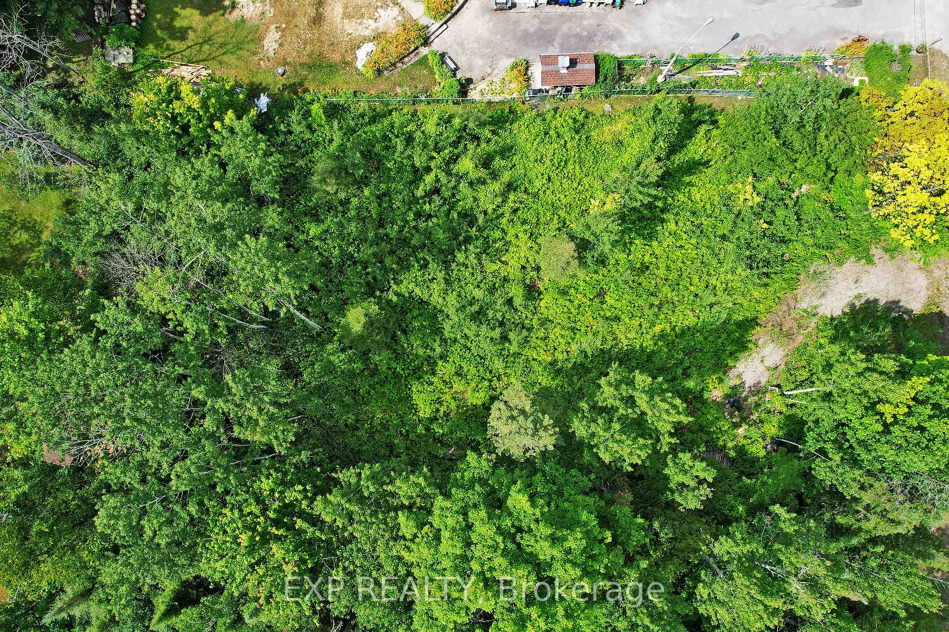 Photo 8 of 19 Pansy Drive, Tiny, Rural Tiny — HOMEH