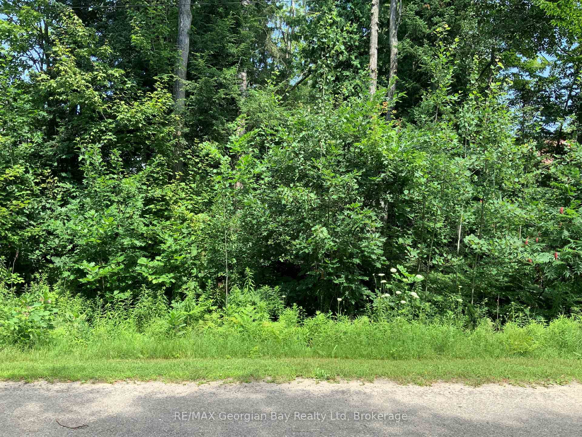 Photo 2 of LOT 524 Tall Pines Drive, Tiny, Rural Tiny — HOMEH