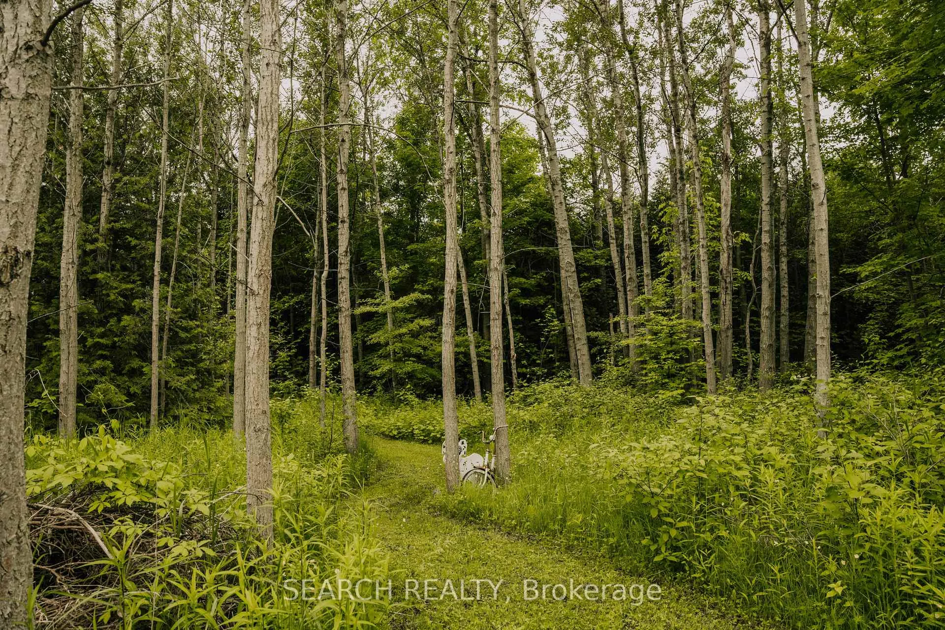 Photo 5 of 014104 Bruce County Road 10, Brockton — HOMEH