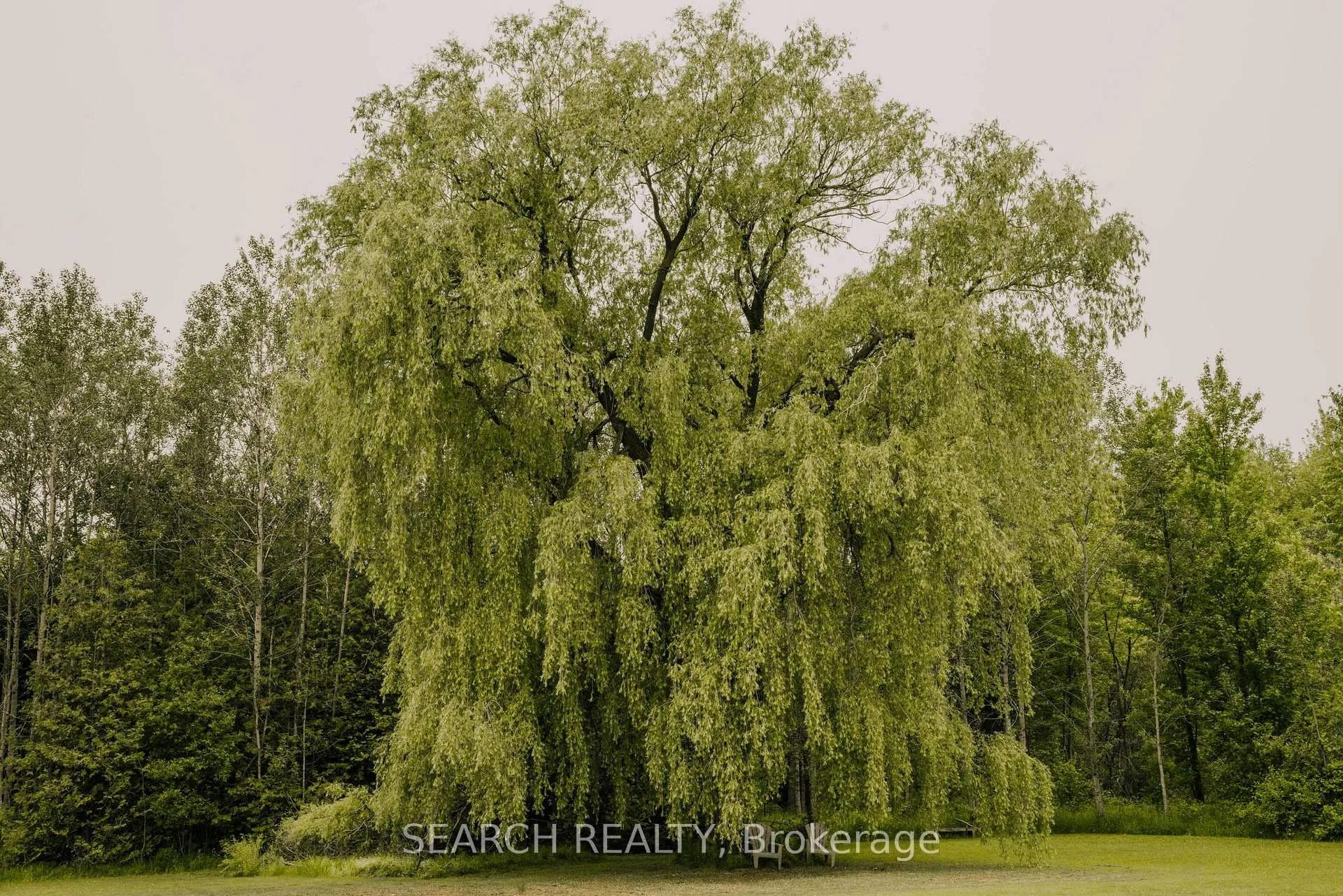Photo 8 of 014104 Bruce County Road 10, Brockton — HOMEH