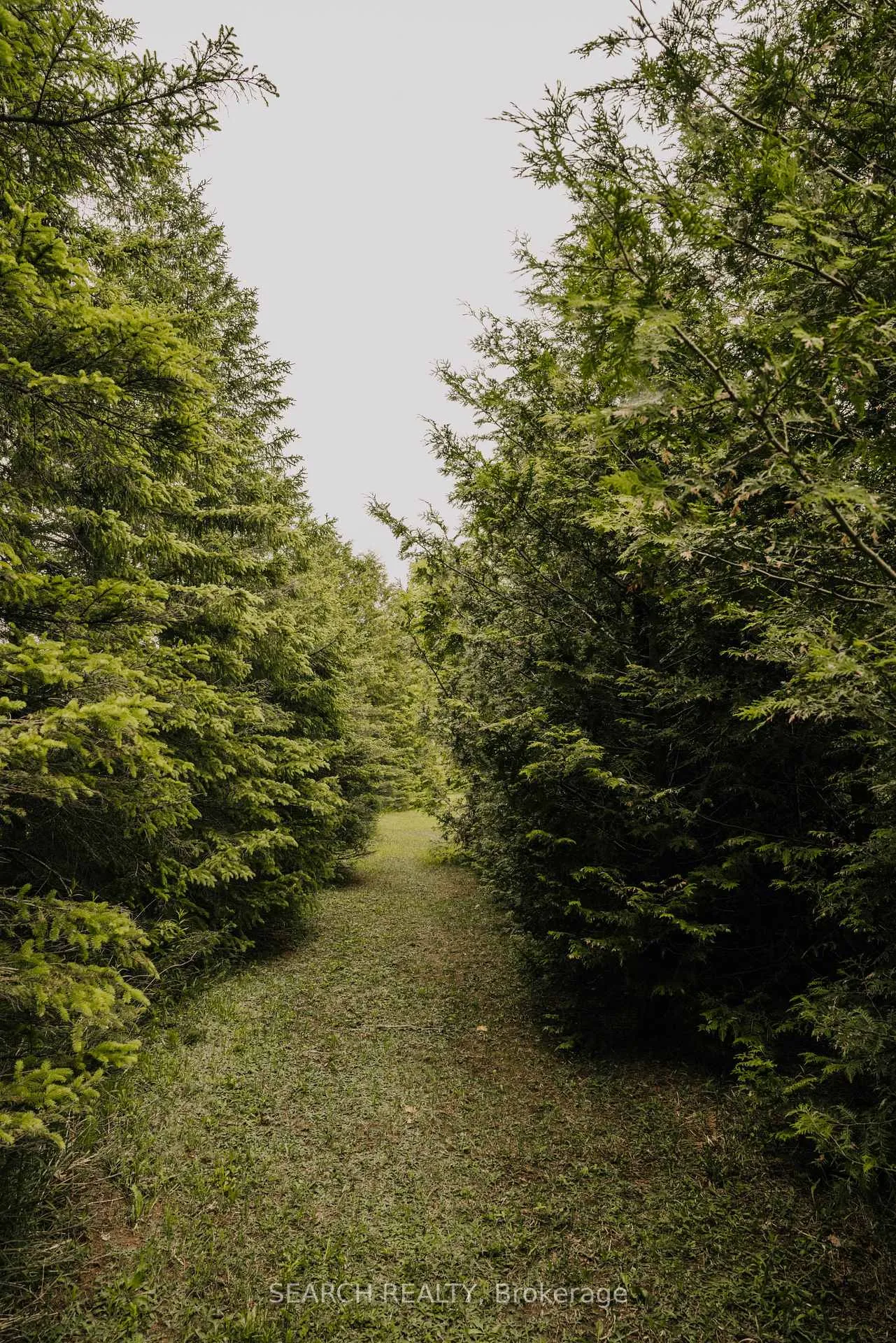 Photo 12 of 014104 Bruce County Road 10, Brockton — HOMEH