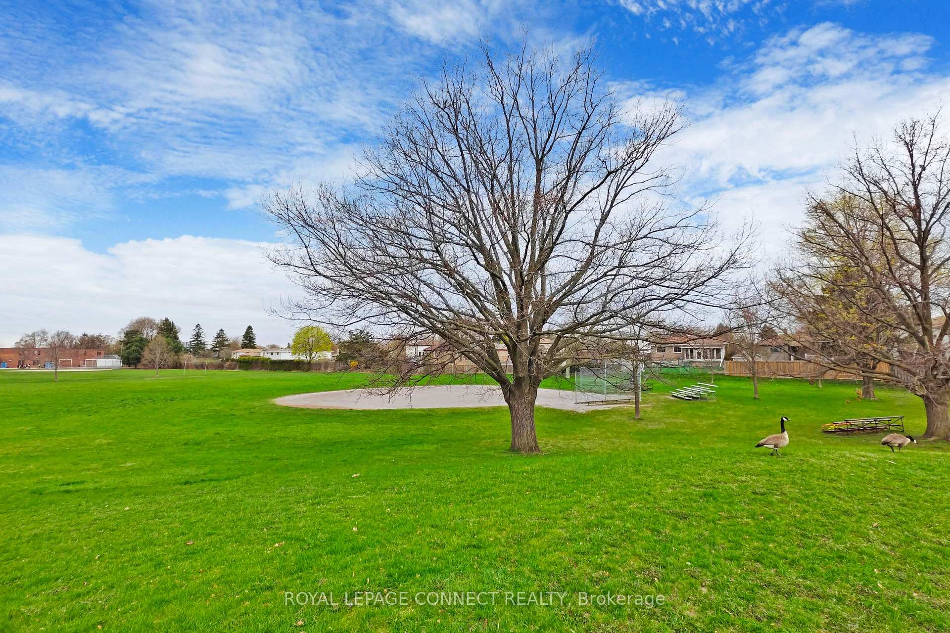 Photo 45 of 24 Grovenest Drive, Scarborough, Morningside — HOMEH