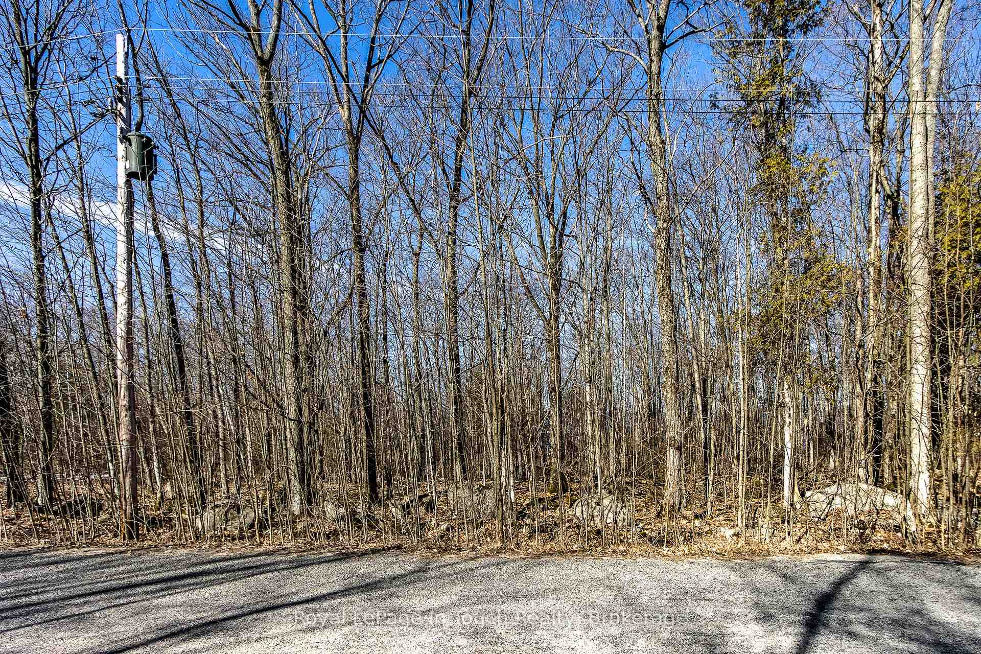 Photo 8 of LOT 45 Tiny Beaches Road N, Tiny, Rural Tiny — HOMEH
