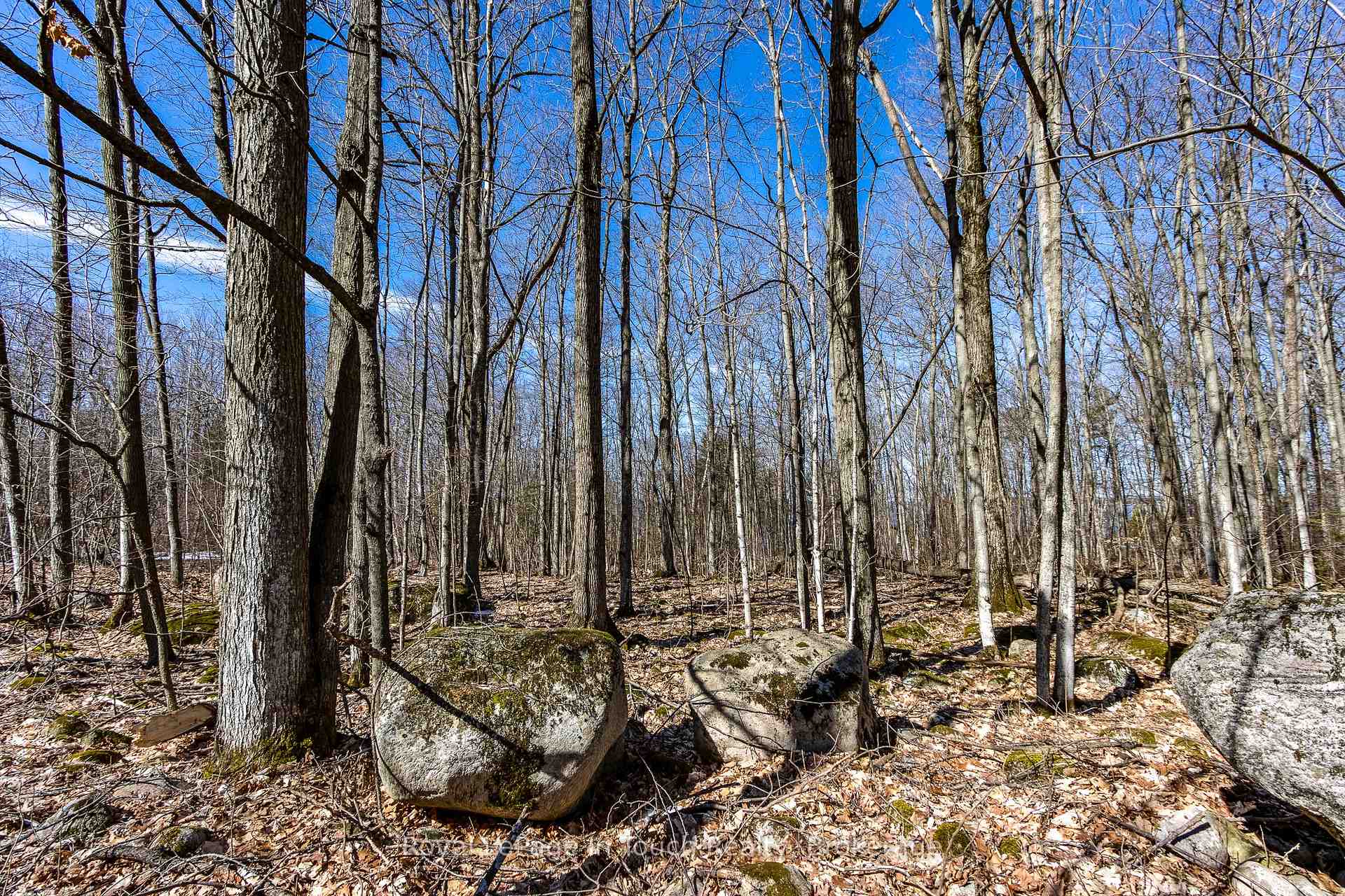 Photo 9 of LOT 45 Tiny Beaches Road N, Tiny, Rural Tiny — HOMEH