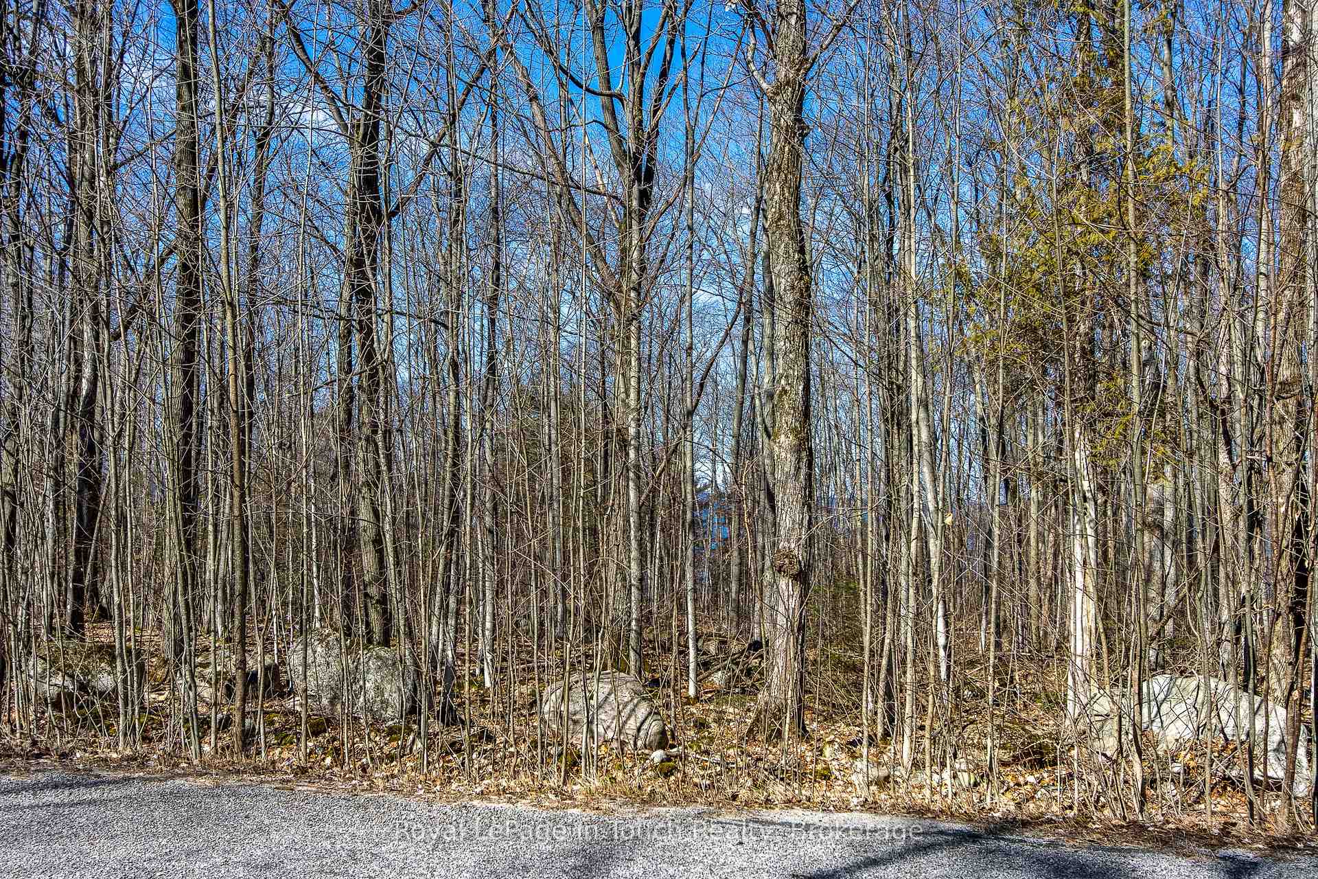 Photo 10 of LOT 45 Tiny Beaches Road N, Tiny, Rural Tiny — HOMEH