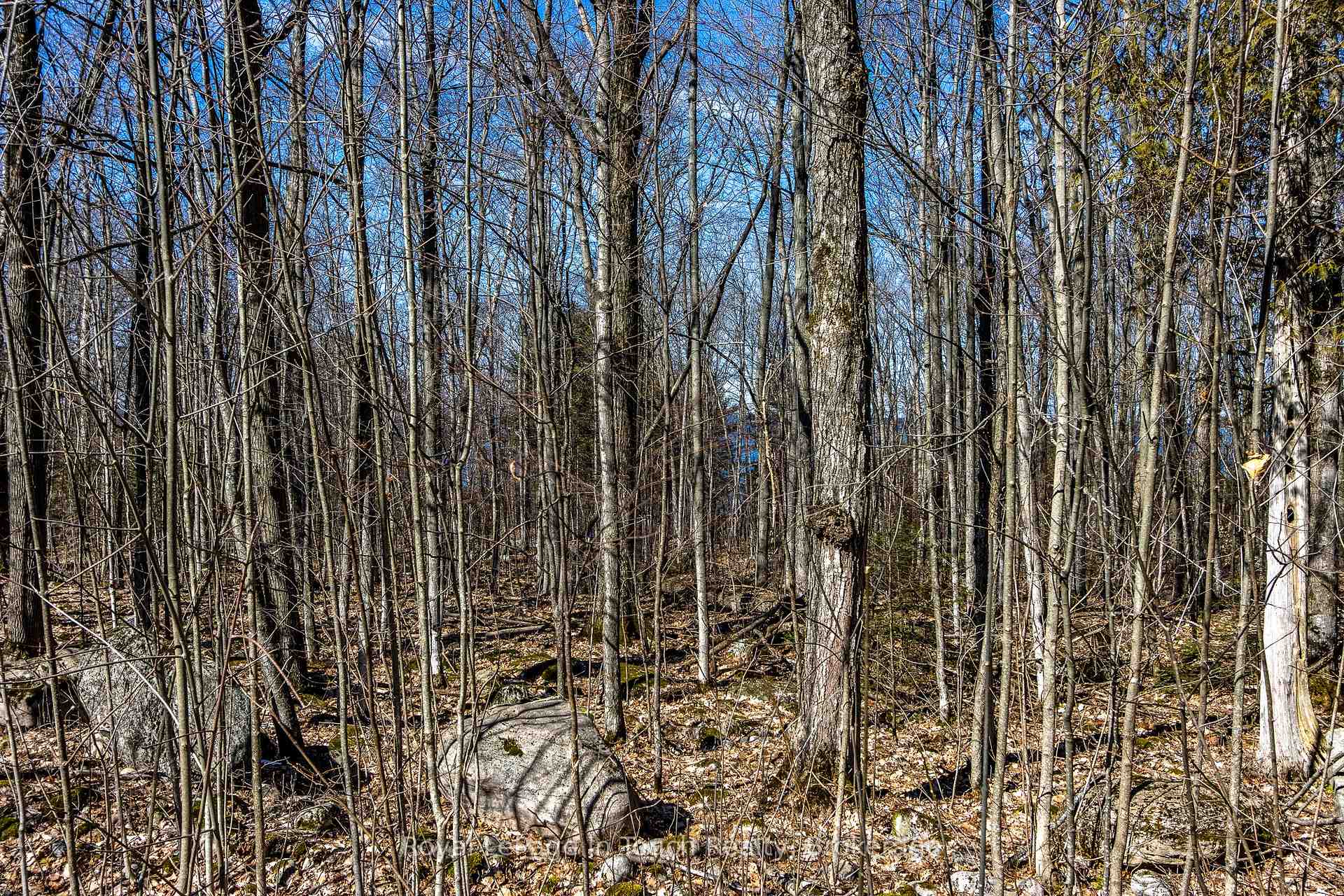 Photo 11 of LOT 45 Tiny Beaches Road N, Tiny, Rural Tiny — HOMEH